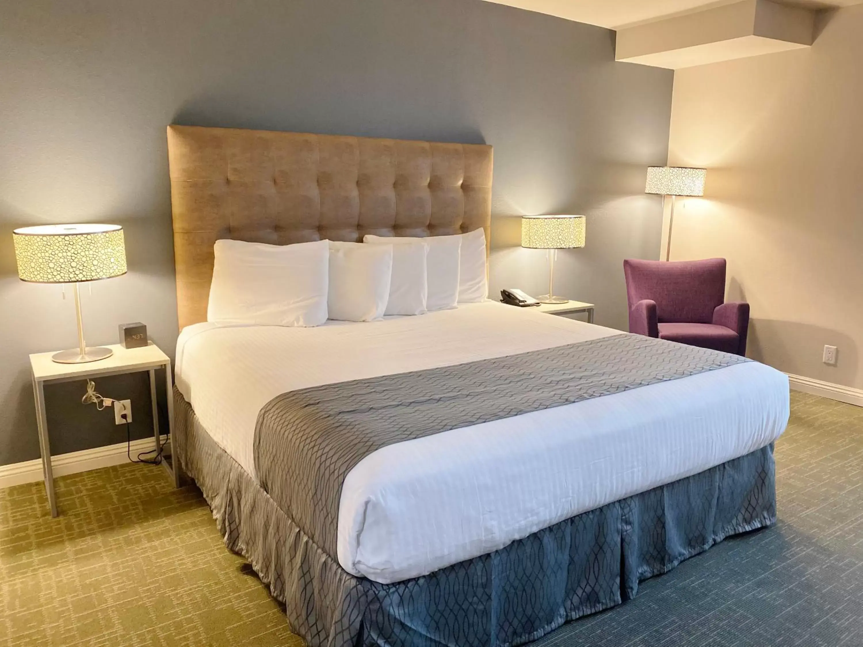 Standard King Room in Redac Gateway Hotel Torrance Standard King Room in Redac Gateway Hotel Torrance