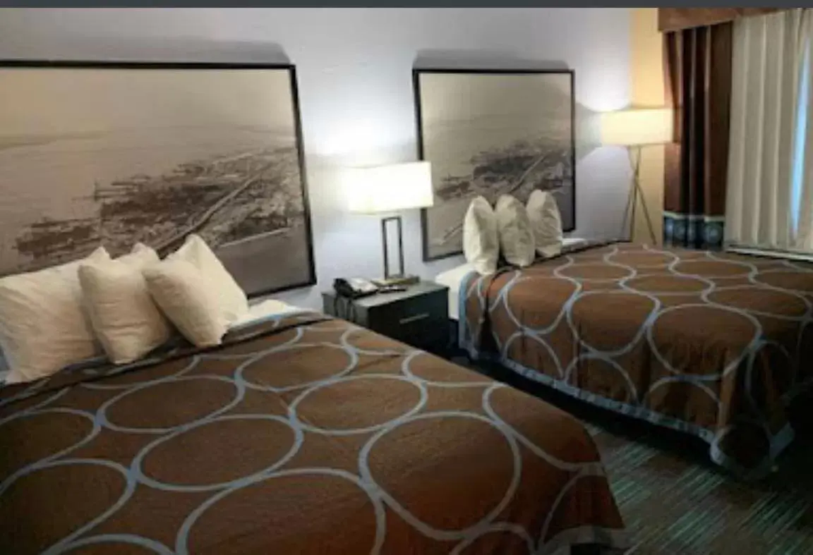 Queen Room in Super 8 by Wyndham Newport News Queen Room in Super 8 by Wyndham Newport News