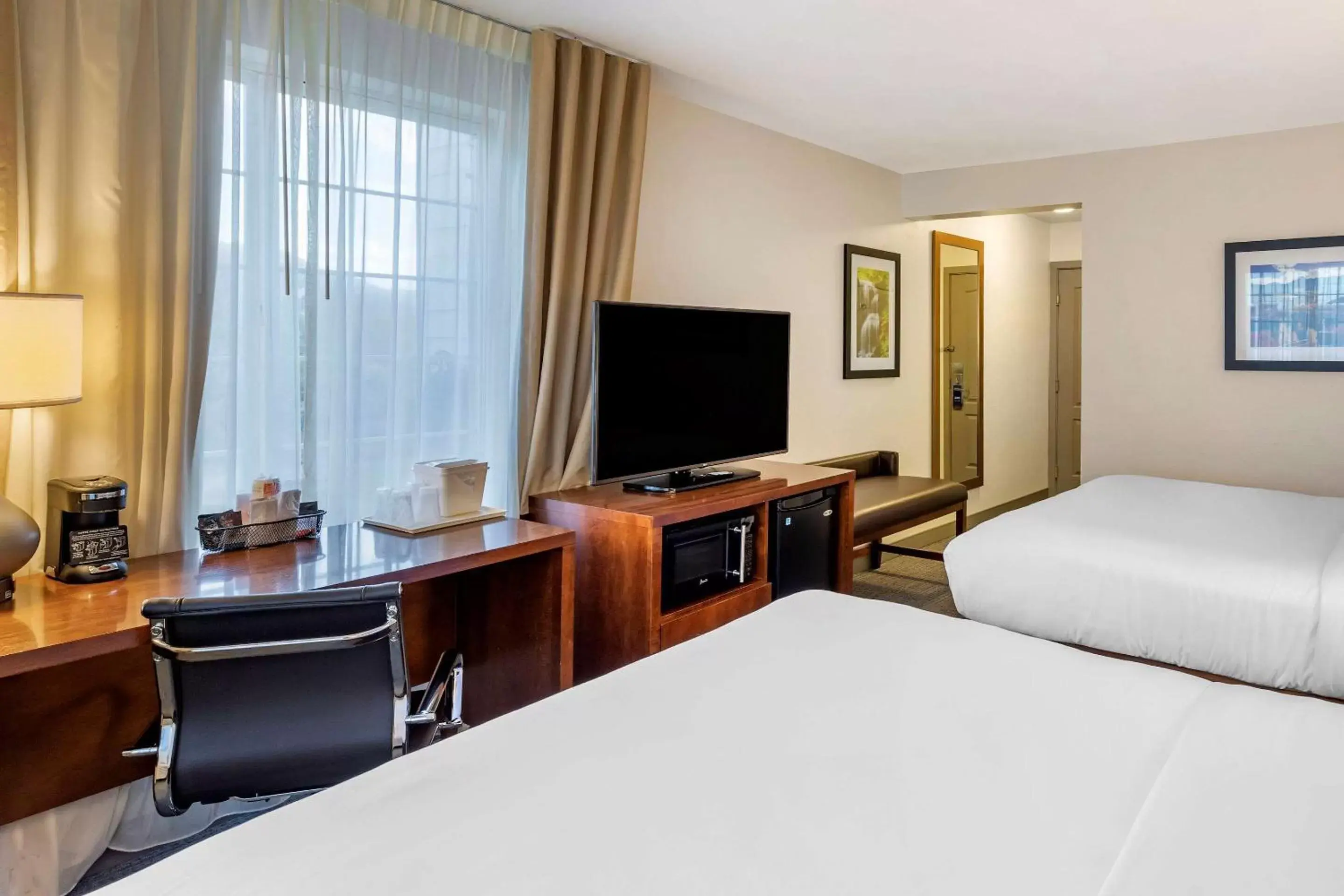 Queen Room with Two Queen Beds - Non-Smoking in Comfort Inn & Suites Carbondale on the Roaring Fork Queen Room with Two Queen Beds - Non-Smoking in Comfort Inn & Suites Carbondale on the Roaring Fork