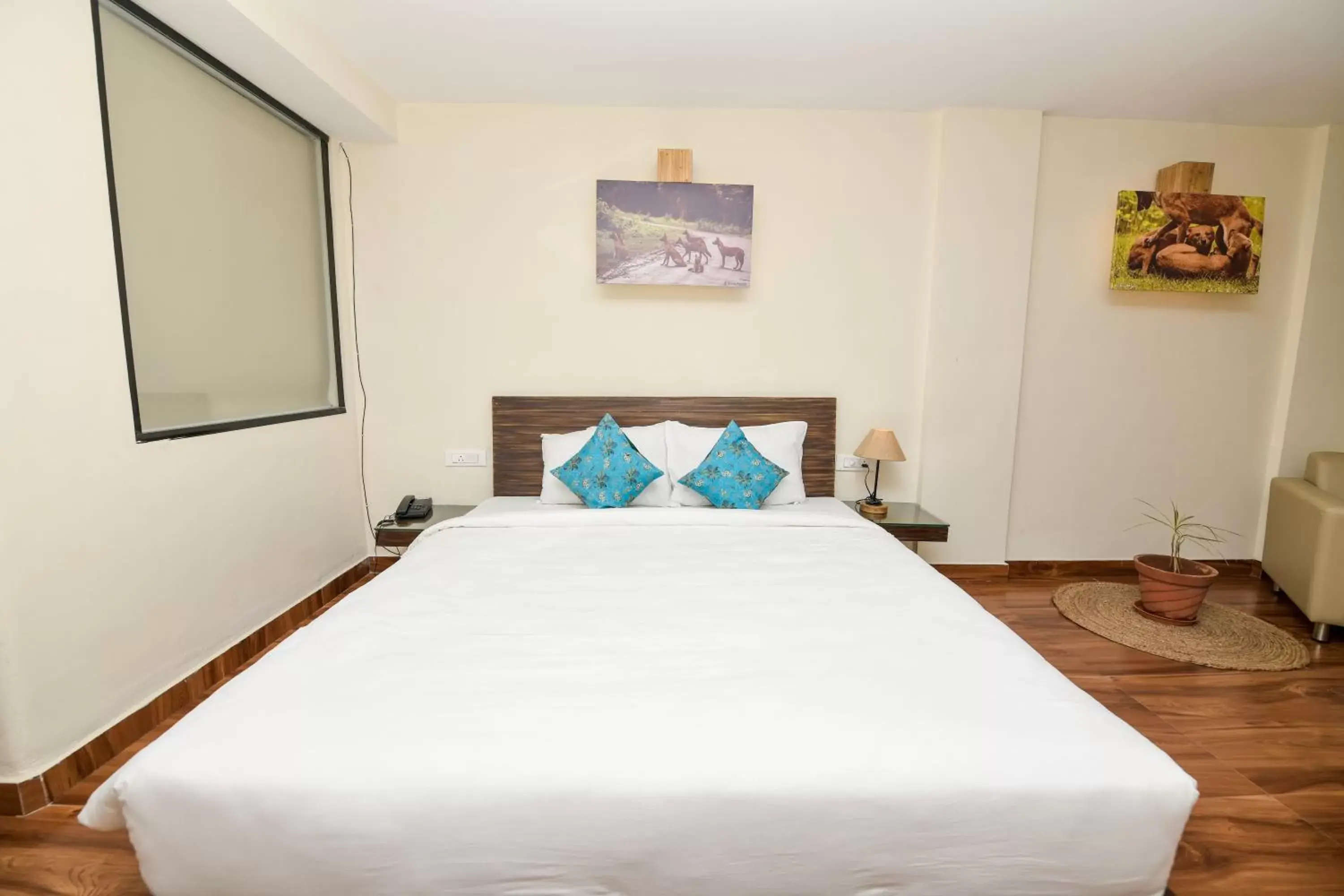 Deluxe Double Studio - single occupancy in SAFARI QUEST Deluxe Double Studio - single occupancy in SAFARI QUEST