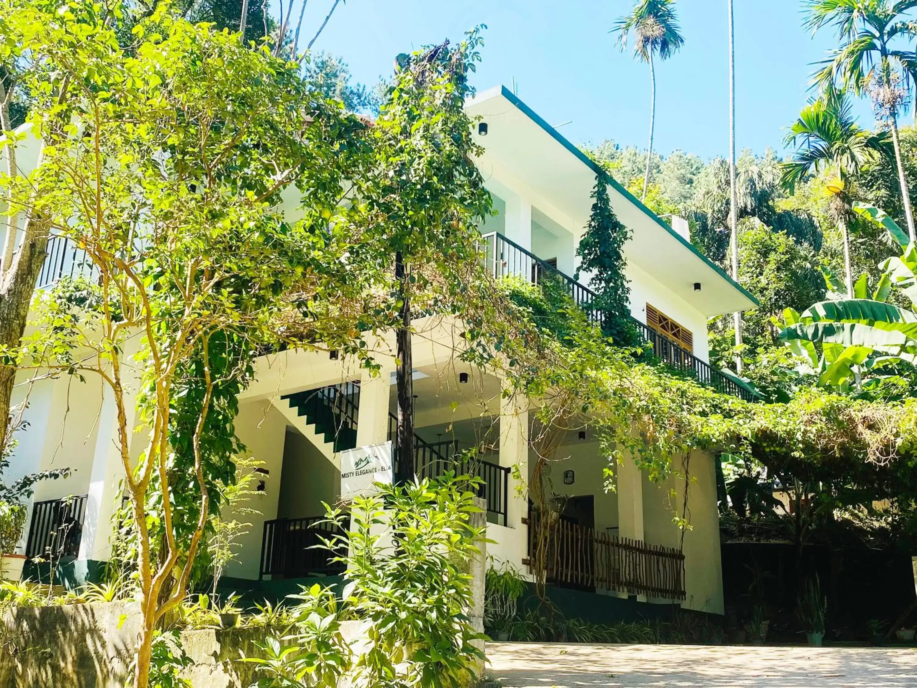 Misty Elegance - Ella. Misty Elegance - Ella.