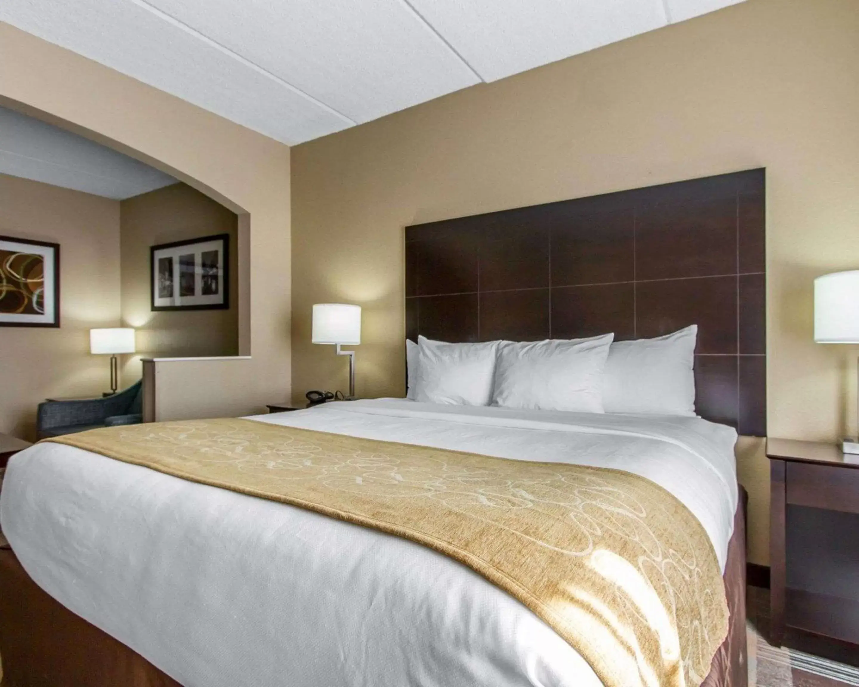 King Suite - Non-Smoking in Comfort Suites Airport King Suite - Non-Smoking in Comfort Suites Airport