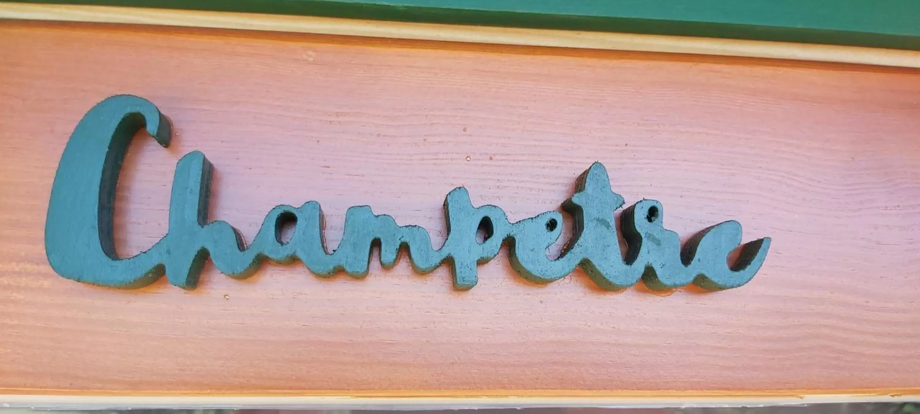 Double Room in Les Roulottes des Ris Double Room in Les Roulottes des Ris