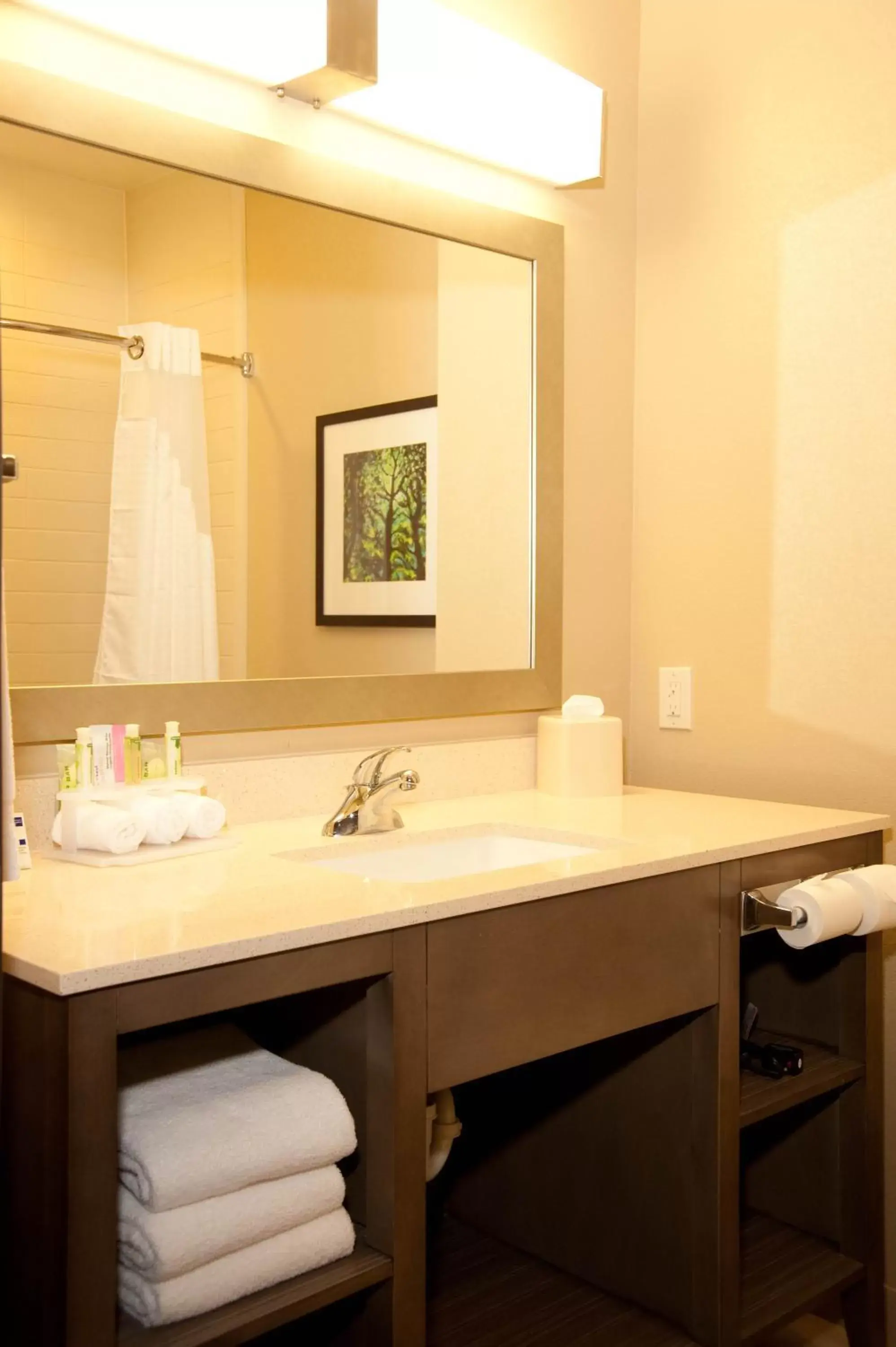 Standard King Room in Holiday Inn Express and Suites Schulenburg by IHG Standard King Room in Holiday Inn Express and Suites Schulenburg by IHG