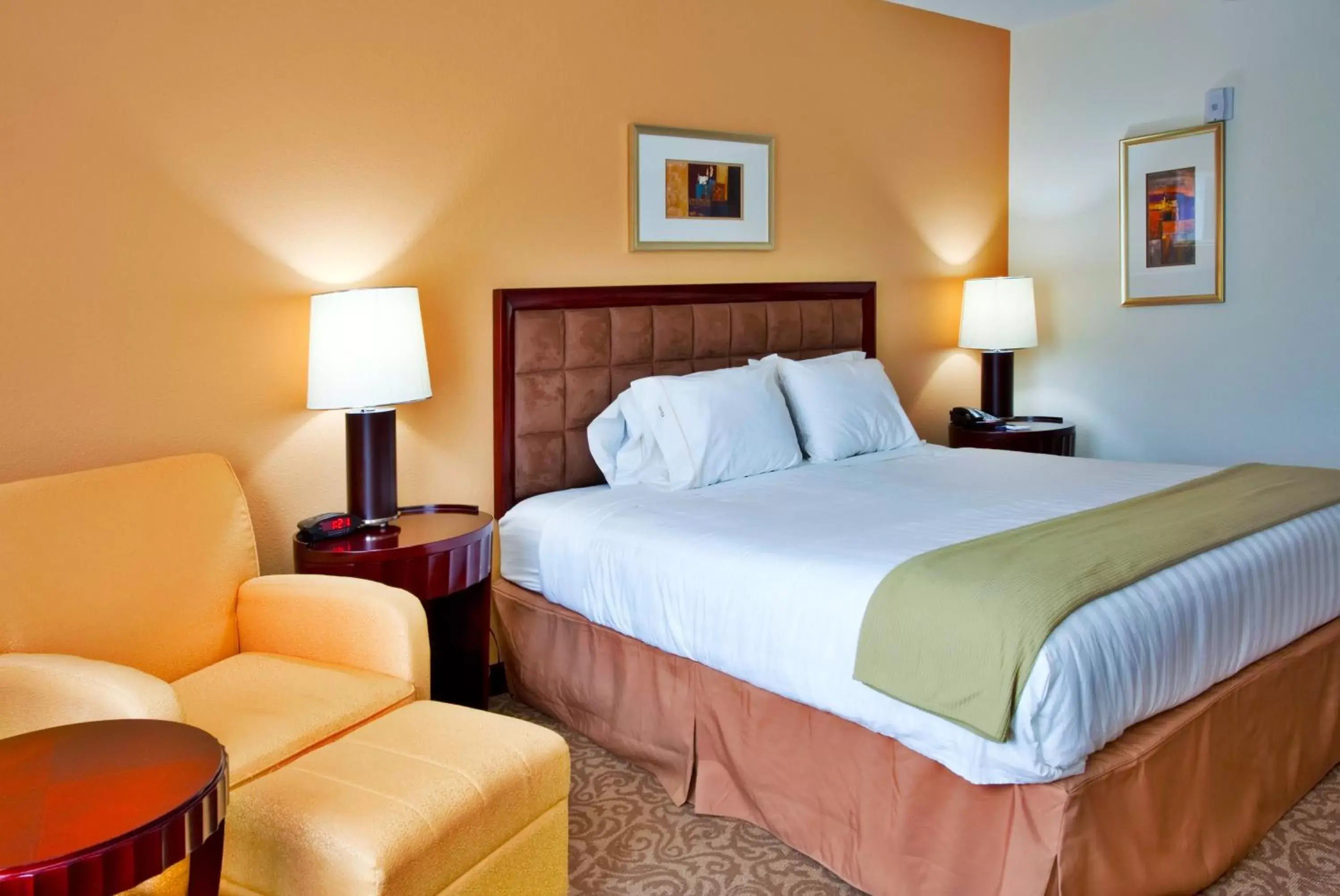 Standard King Room in Holiday Inn Express Hotel & Suites Brooksville-I-75 by IHG Standard King Room in Holiday Inn Express Hotel & Suites Brooksville-I-75 by IHG