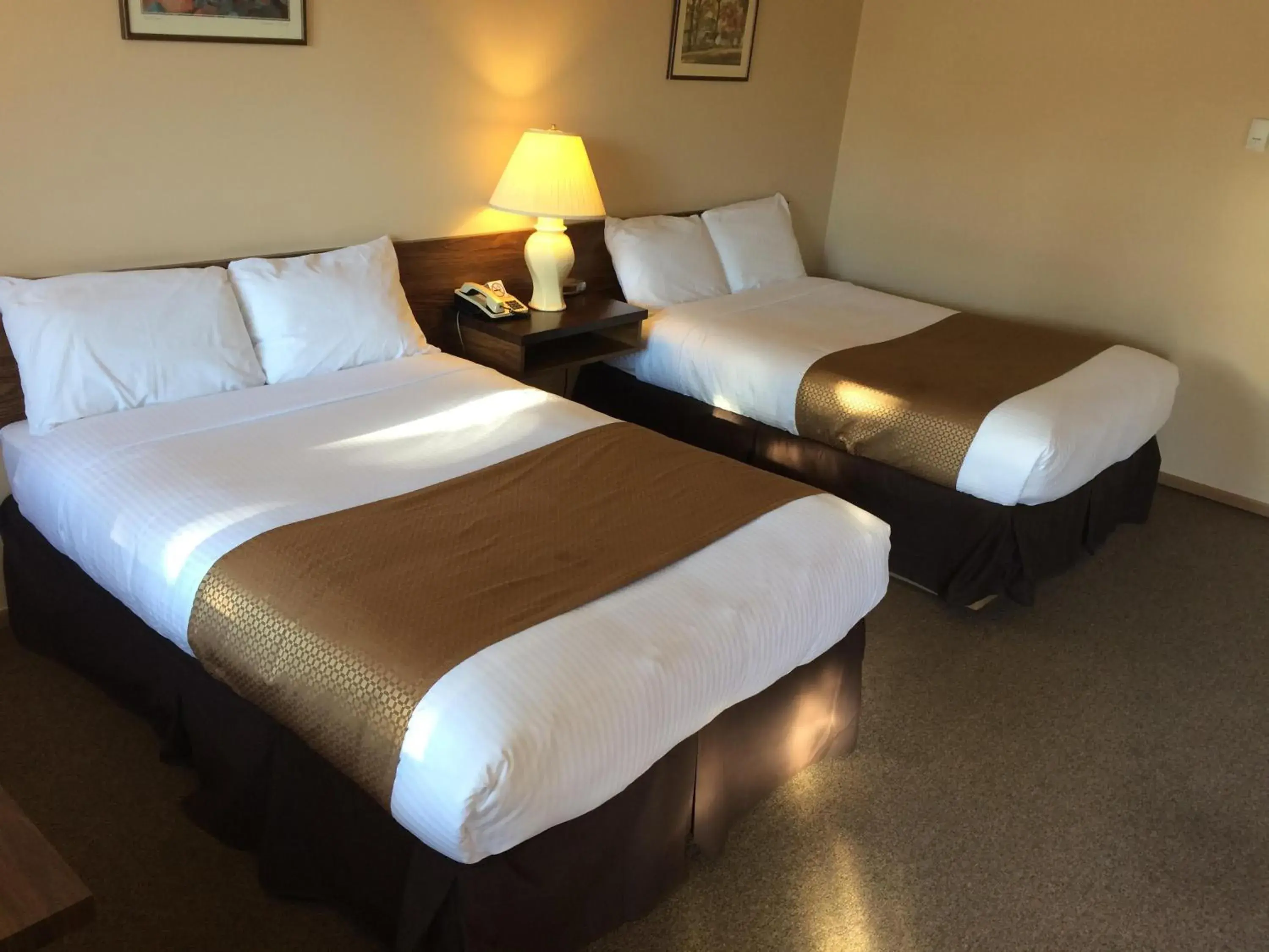 Double Room in Siesta Motel Double Room in Siesta Motel