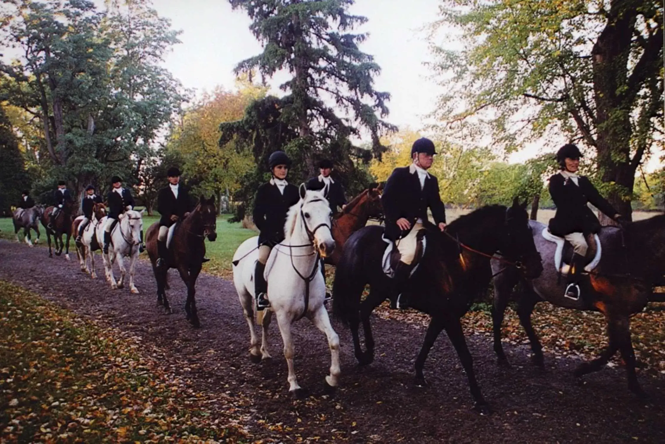 Hampton Inn Geneseo Hampton Inn Geneseo