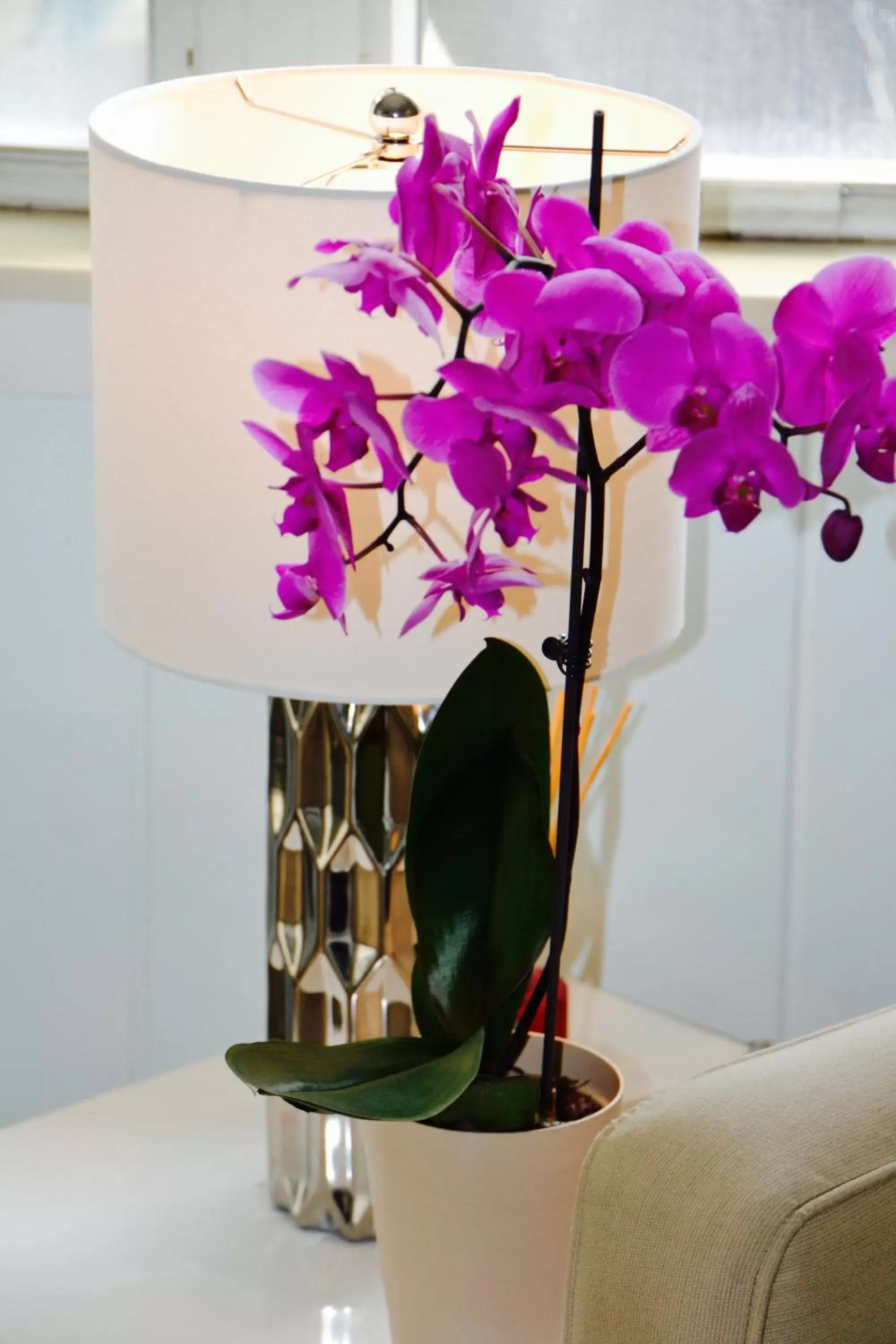 Apartment - Ground Floor in Sea Turtle Inn Apartment - Ground Floor in Sea Turtle Inn