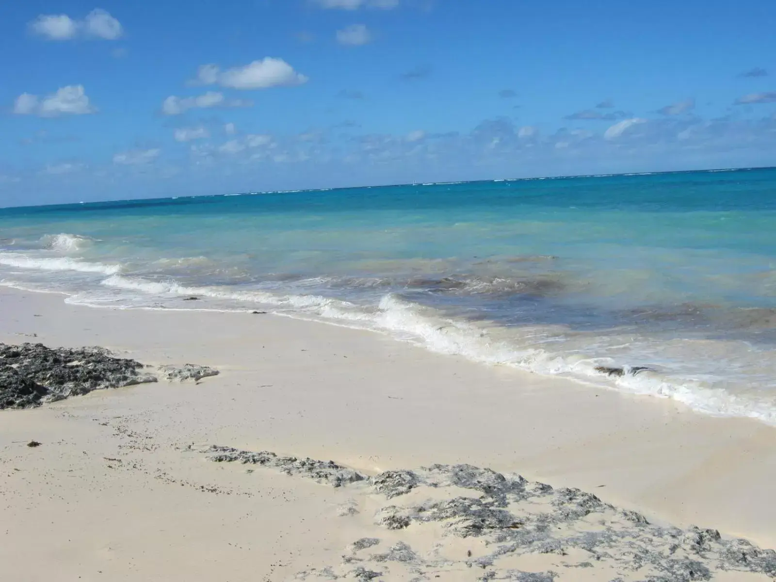 Studio Room with Double Bed in Golden Palm B & B Studio Room with Double Bed in Golden Palm B & B