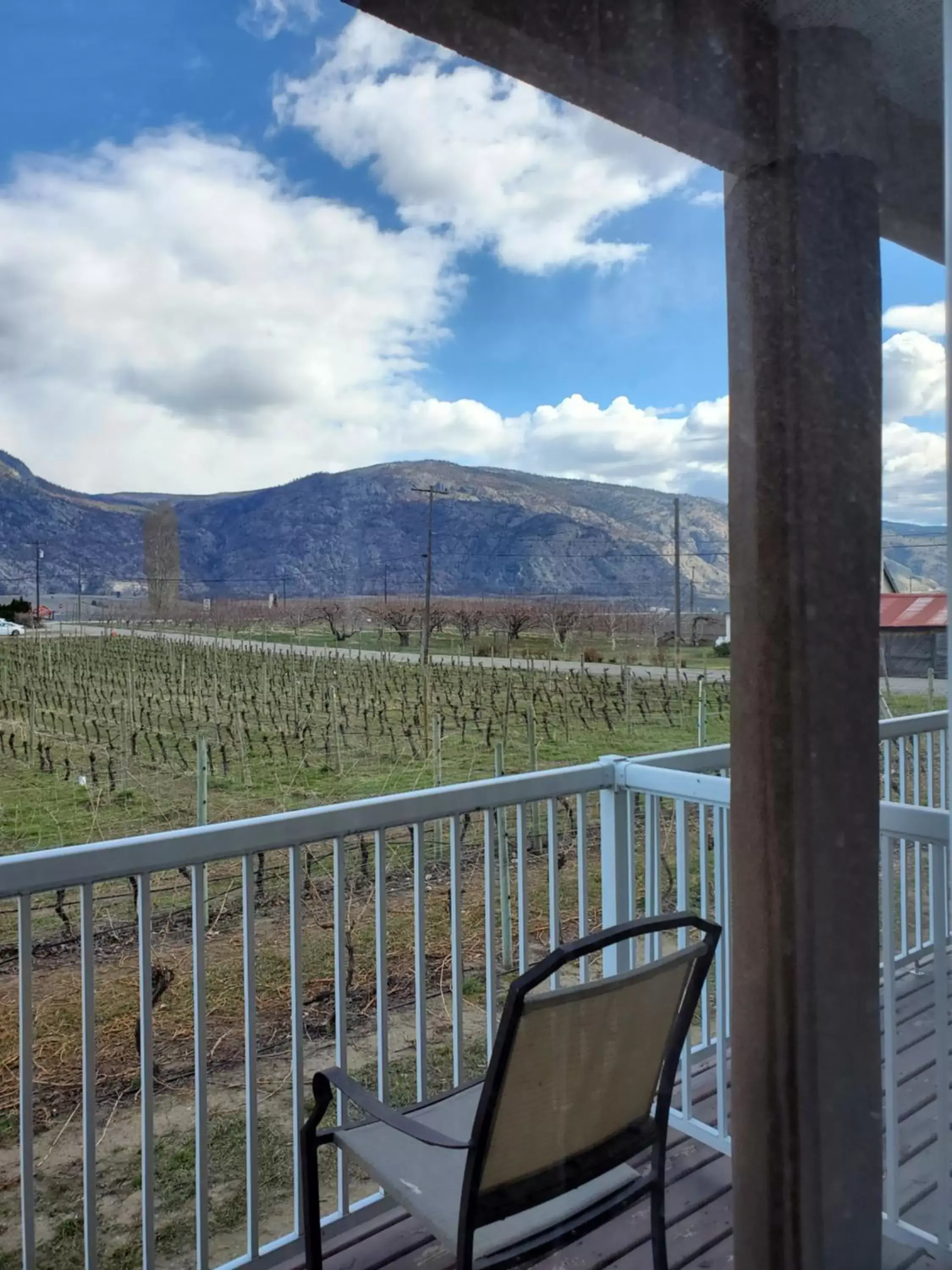 Queen Room with Shared Bathroom in Sonora Desert Inn Queen Room with Shared Bathroom in Sonora Desert Inn