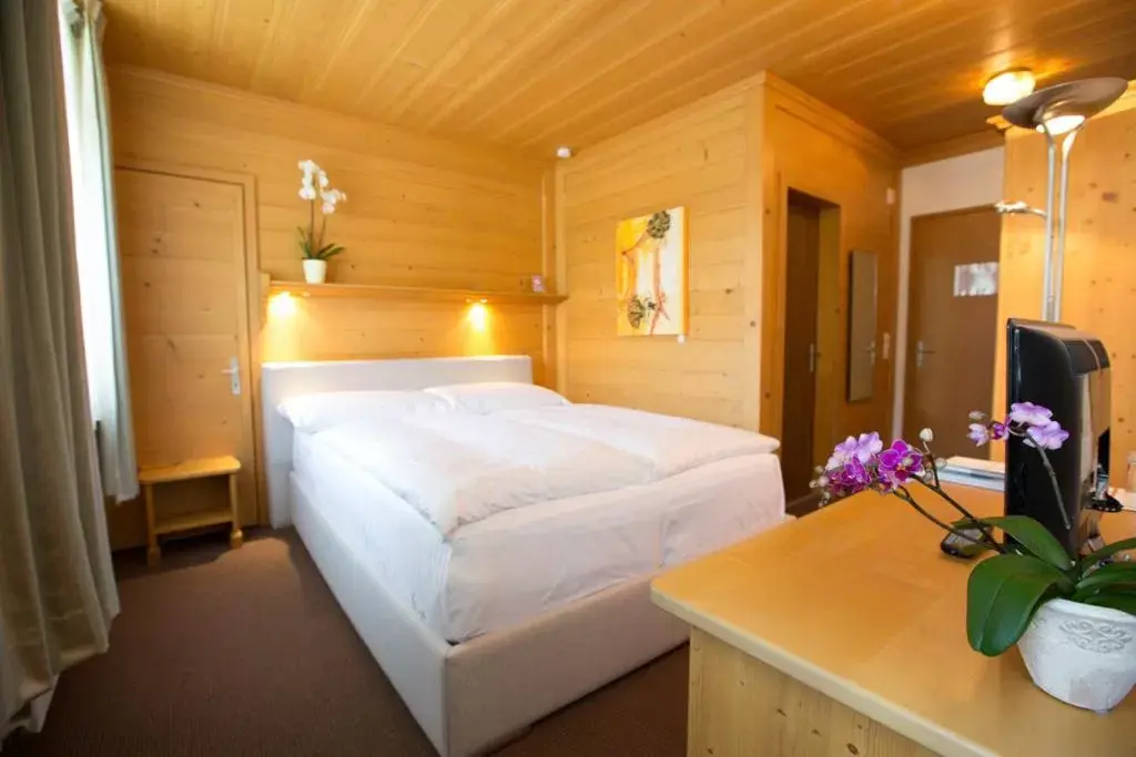 Standard Double Room in Sonnegg Hotel Standard Double Room in Sonnegg Hotel