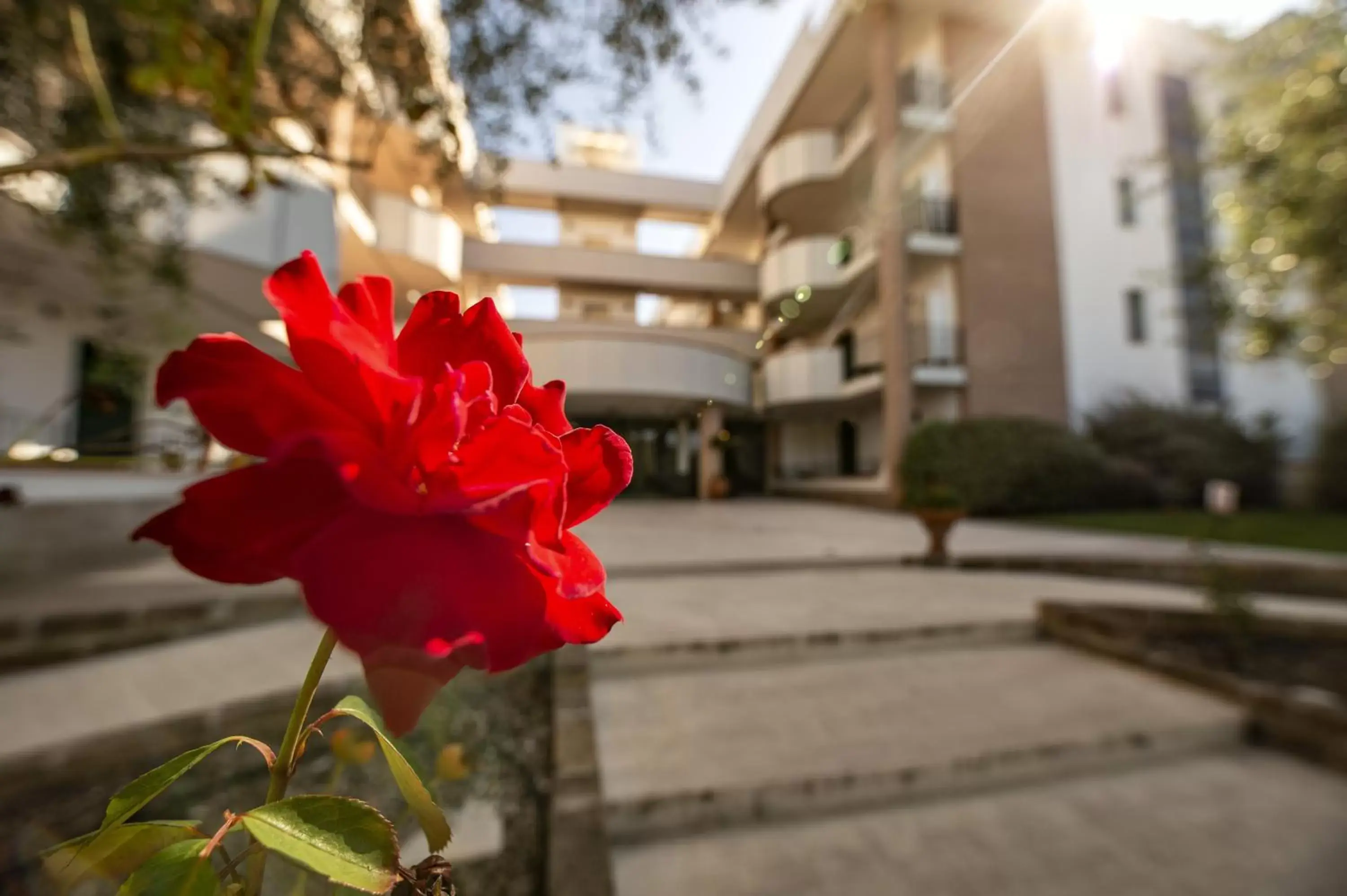 Property building in Le Residenze di Santa Costanza - Mirto/Corbezzolo Property building in Le Residenze di Santa Costanza - Mirto/Corbezzolo