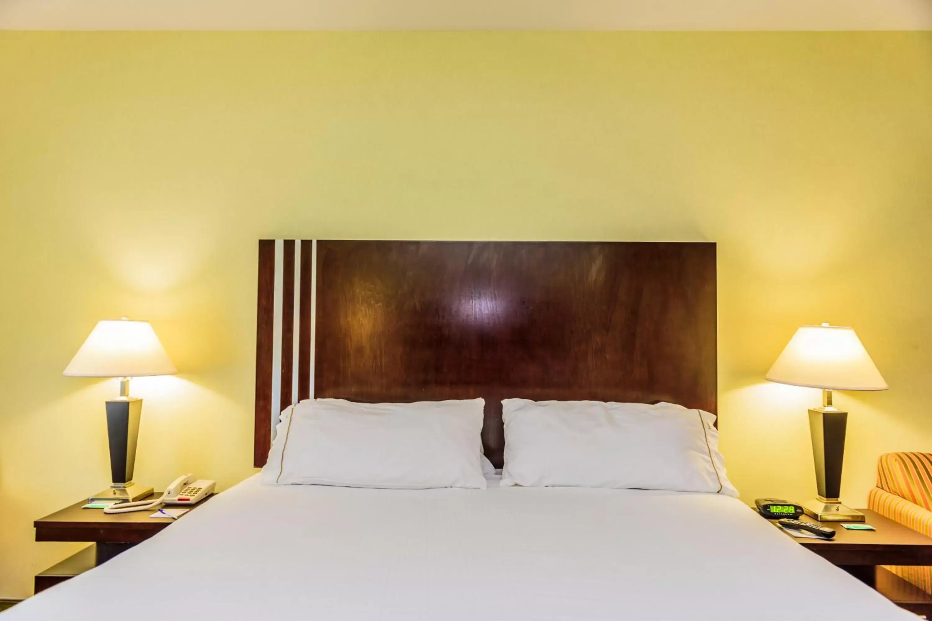 Standard King Room in Holiday Inn Express Hotel & Suites Hamburg by IHG Standard King Room in Holiday Inn Express Hotel & Suites Hamburg by IHG