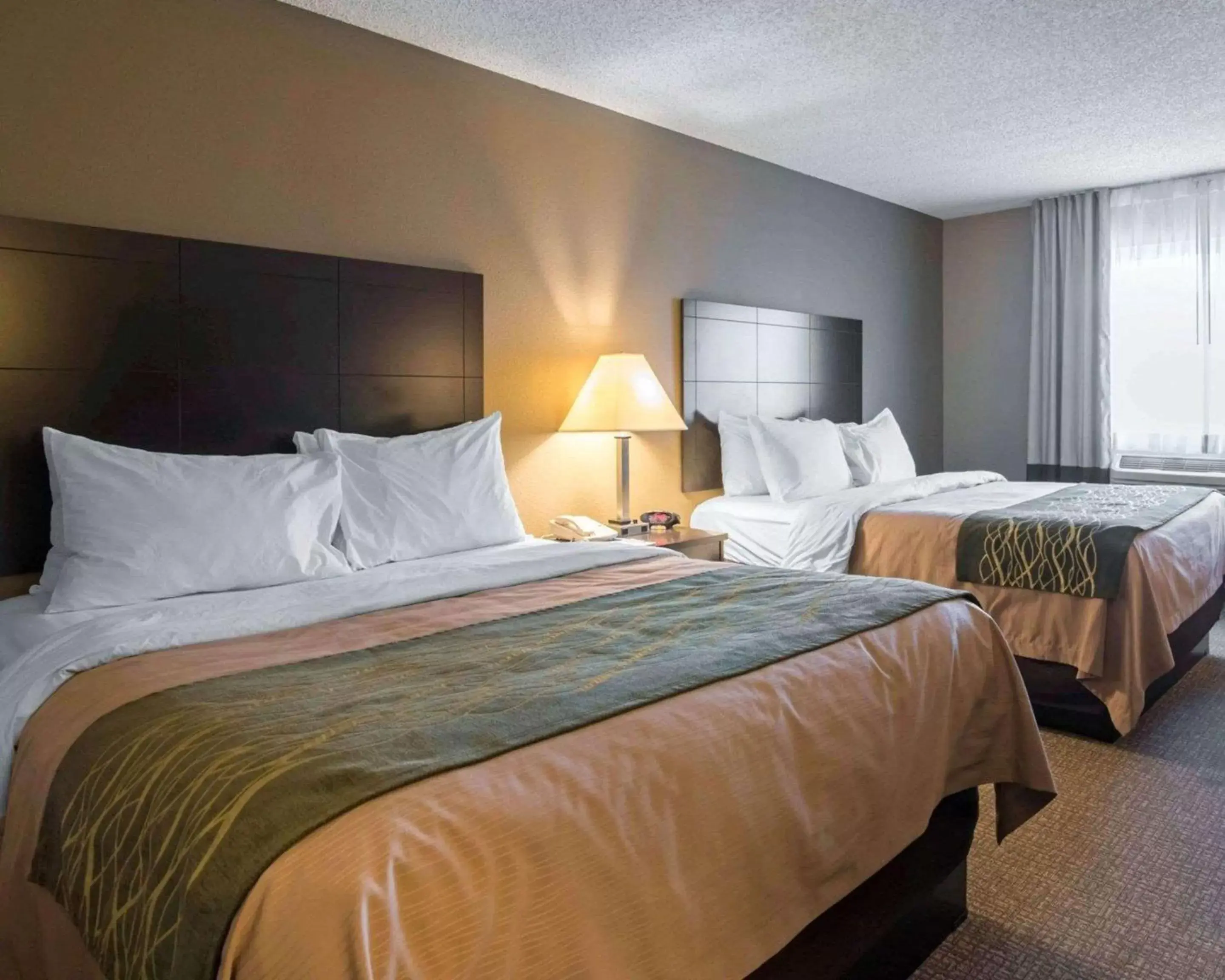 Queen Room with Two Queen Beds - Sofa Bed in Comfort Inn Saugerties Queen Room with Two Queen Beds - Sofa Bed in Comfort Inn Saugerties