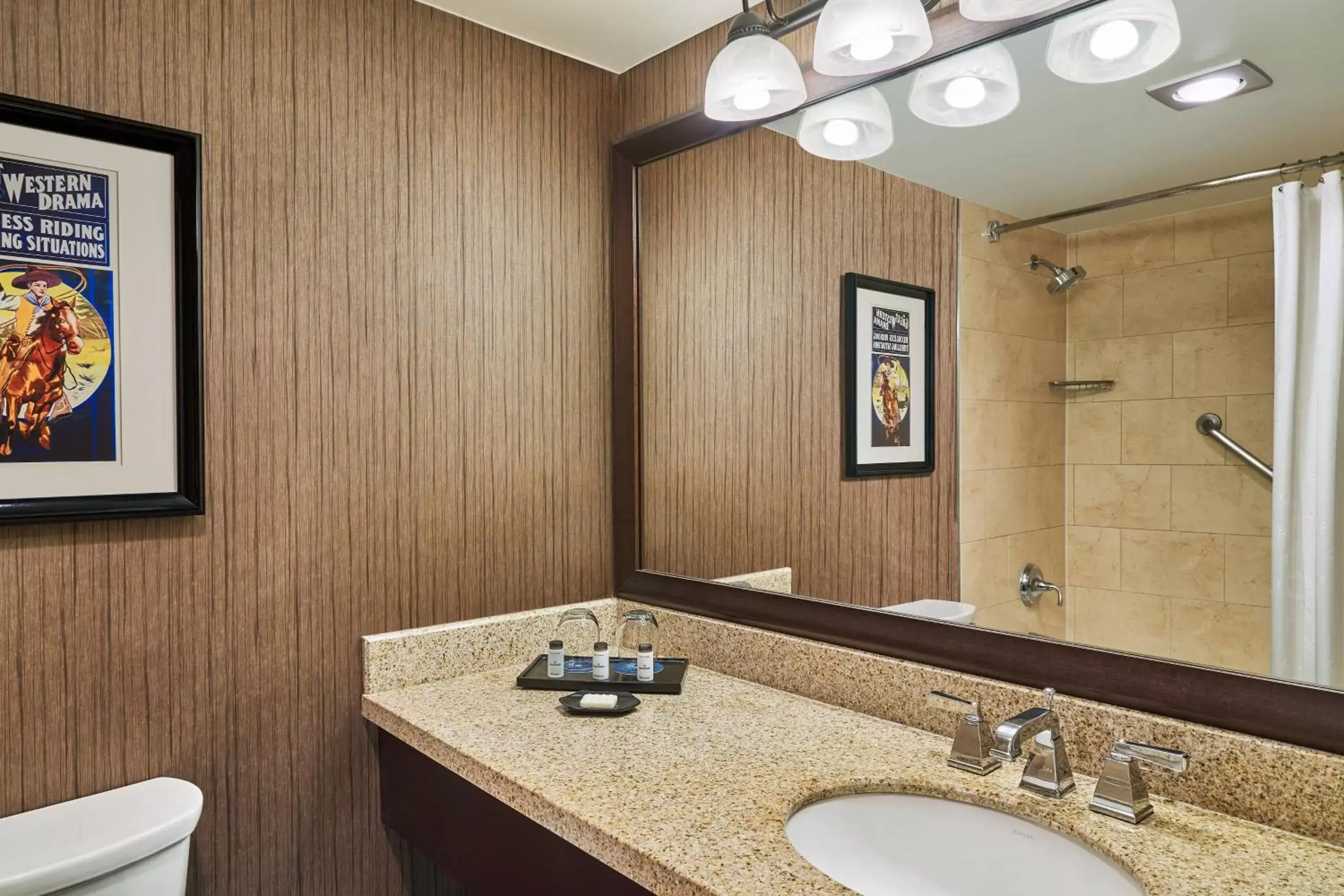 King Room with Adapted Tub - Mobility Accessible in Sheraton North Houston at George Bush Intercontinental King Room with Adapted Tub - Mobility Accessible in Sheraton North Houston at George Bush Intercontinental