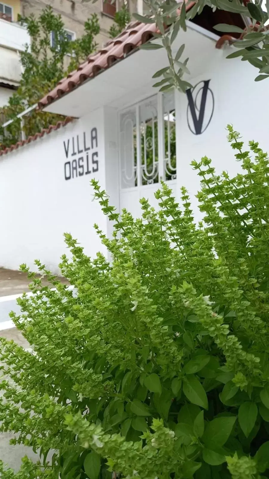 Property Logo/Sign in Villa Oasis Property Logo/Sign in Villa Oasis