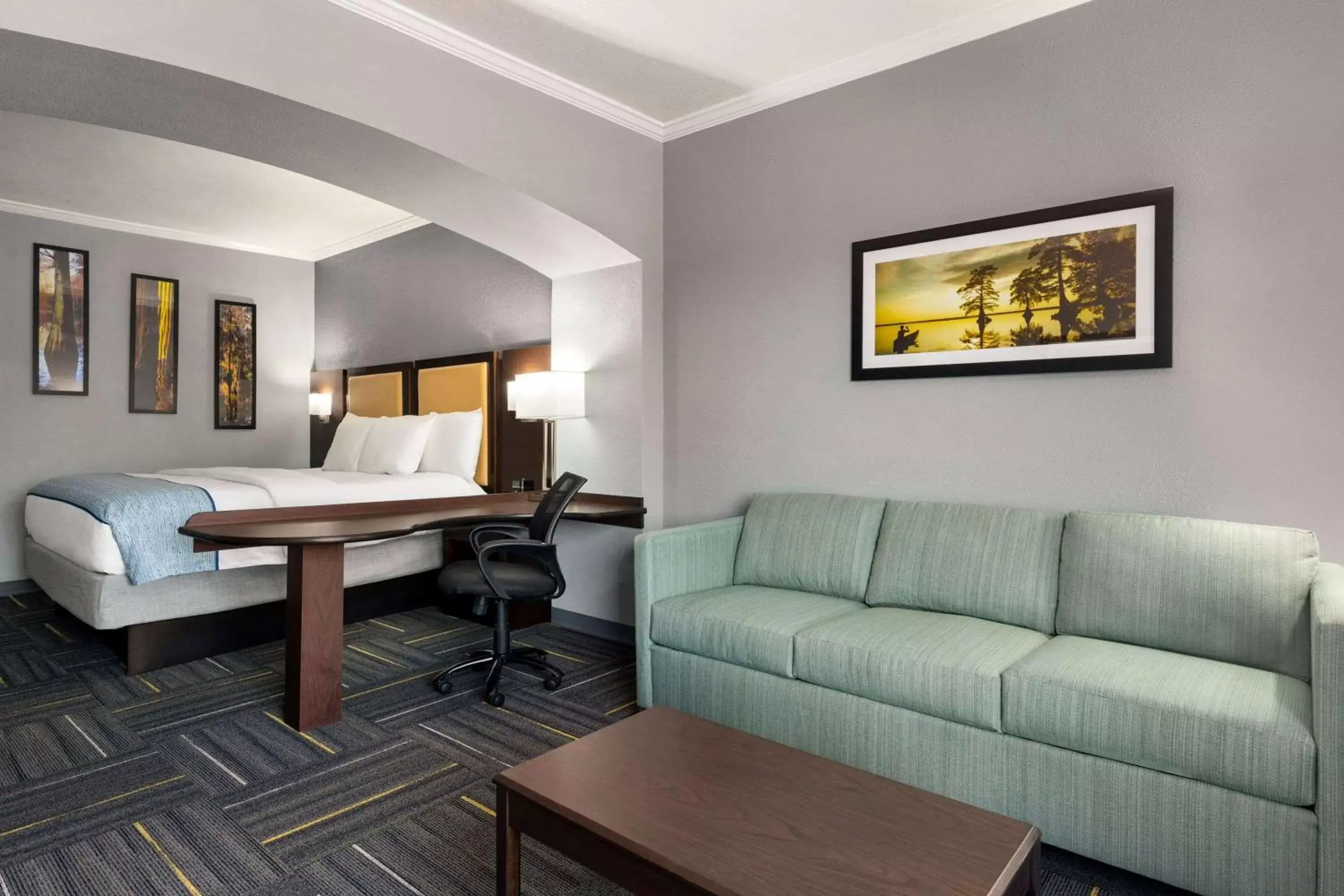 One Bedroom King Suite - Non-Smoking in La Quinta by Wyndham Dublin One Bedroom King Suite - Non-Smoking in La Quinta by Wyndham Dublin