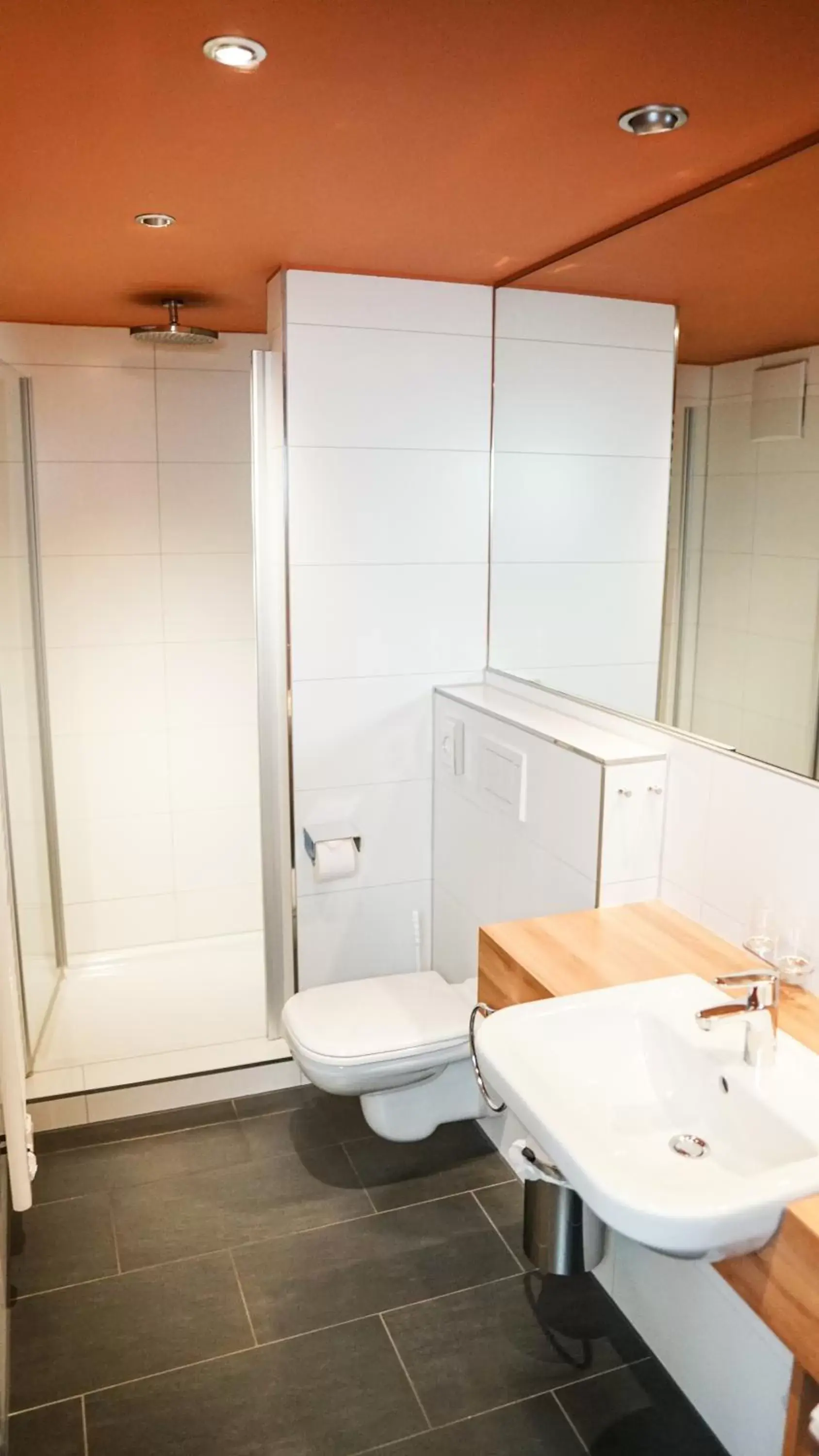 Double Room - single occupancy in Hotel Neckarblick Double Room - single occupancy in Hotel Neckarblick