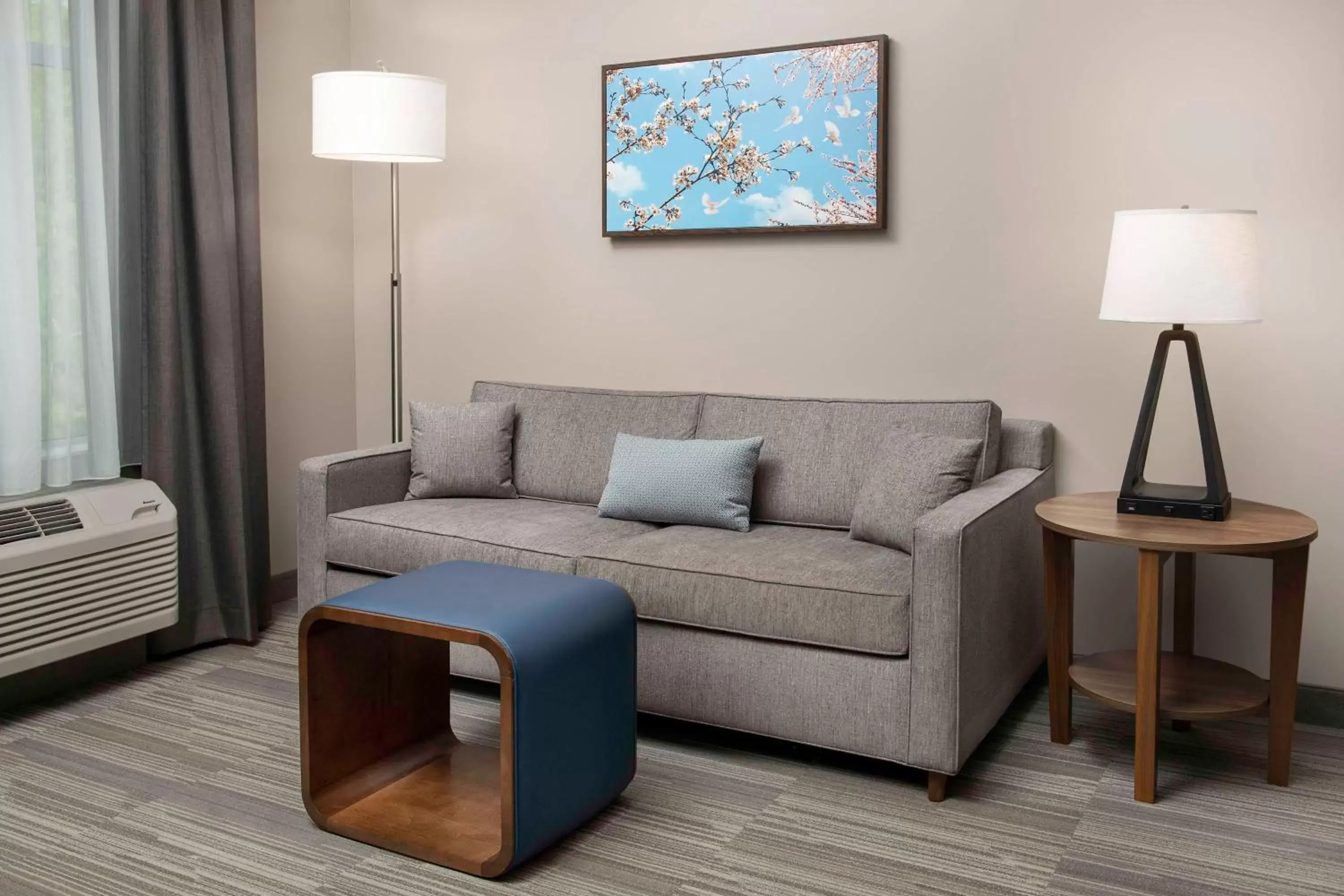 King Suite with Bath Tub - Mobility Access in Homewood Suites By Hilton Greenville, NC King Suite with Bath Tub - Mobility Access in Homewood Suites By Hilton Greenville, NC