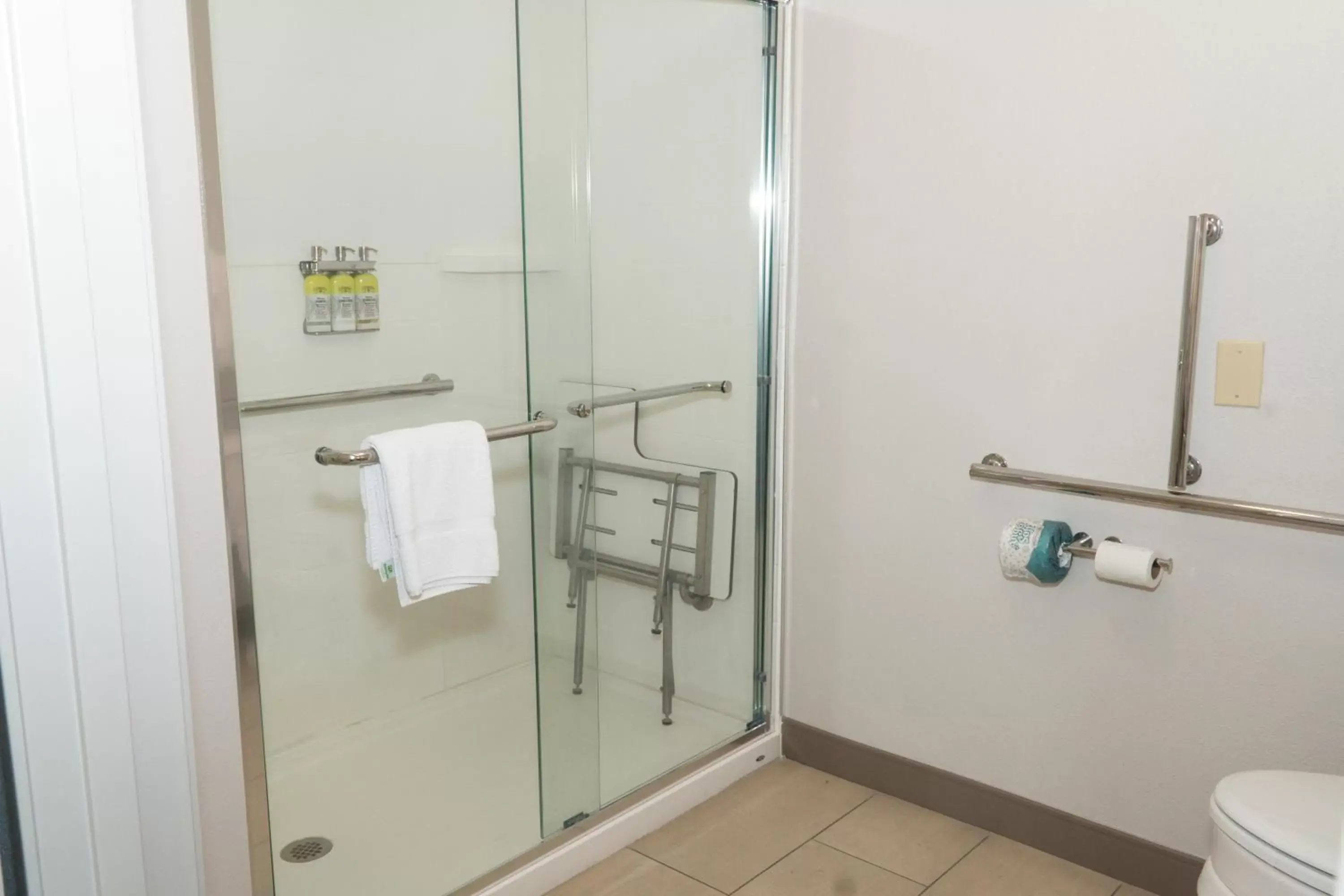 King Room - Disability Access Hearing Accessible - Roll-In Shower in Holiday Inn Express Hotel & Suites Madison, an IHG Hotel King Room - Disability Access Hearing Accessible - Roll-In Shower in Holiday Inn Express Hotel & Suites Madison, an IHG Hotel