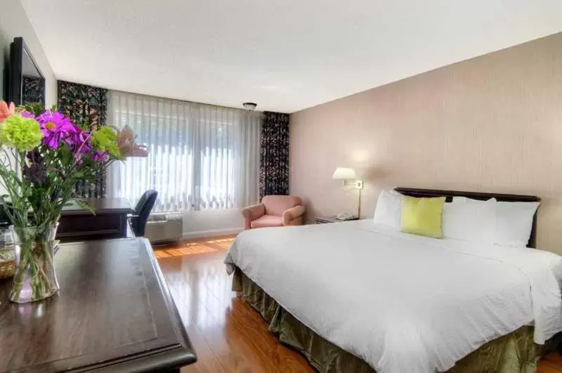 Two-Bedroom Apartment in County Inn Two-Bedroom Apartment in County Inn