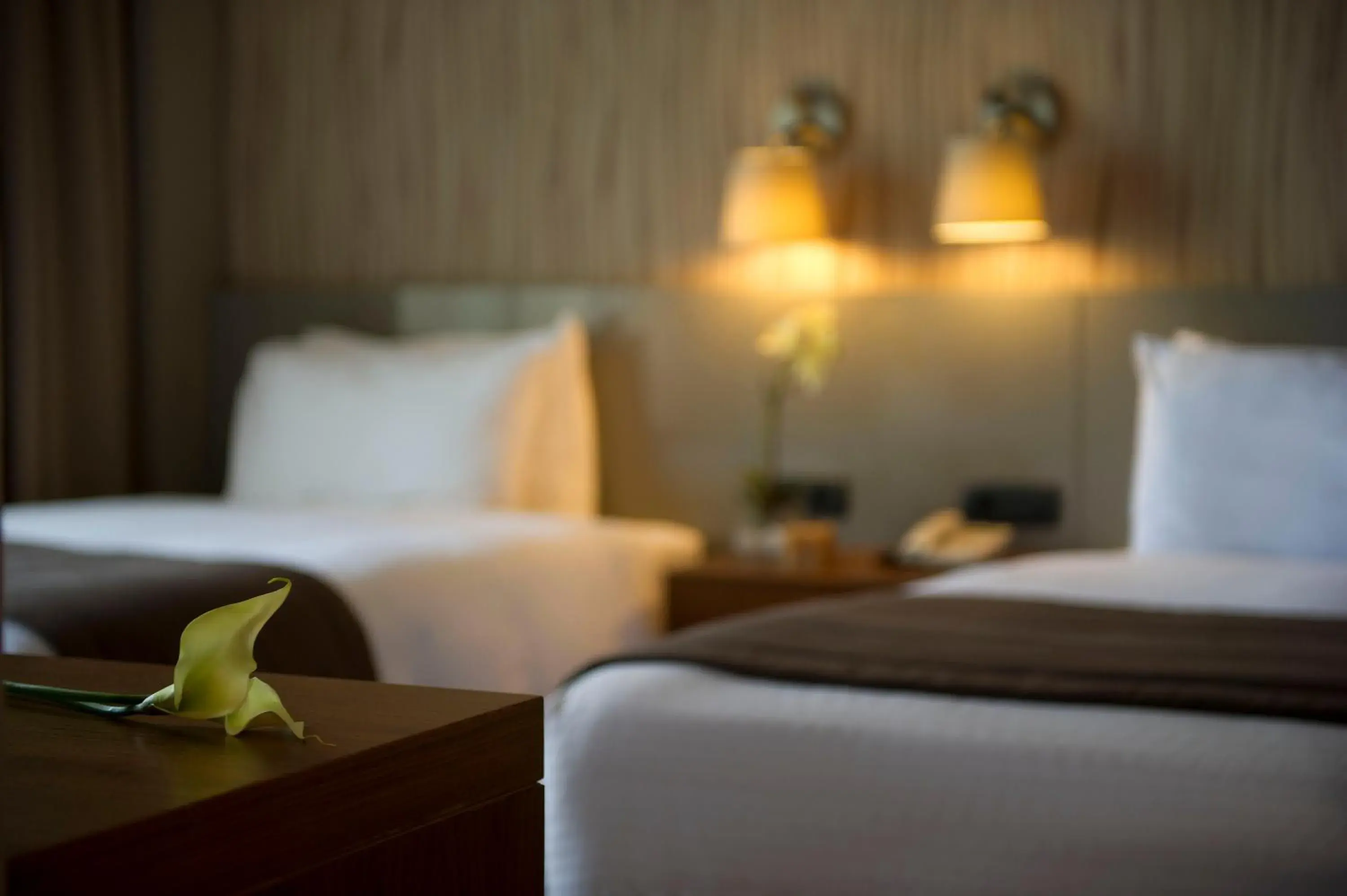 Two-Bedroom Suite in ParkTower Suites Two-Bedroom Suite in ParkTower Suites