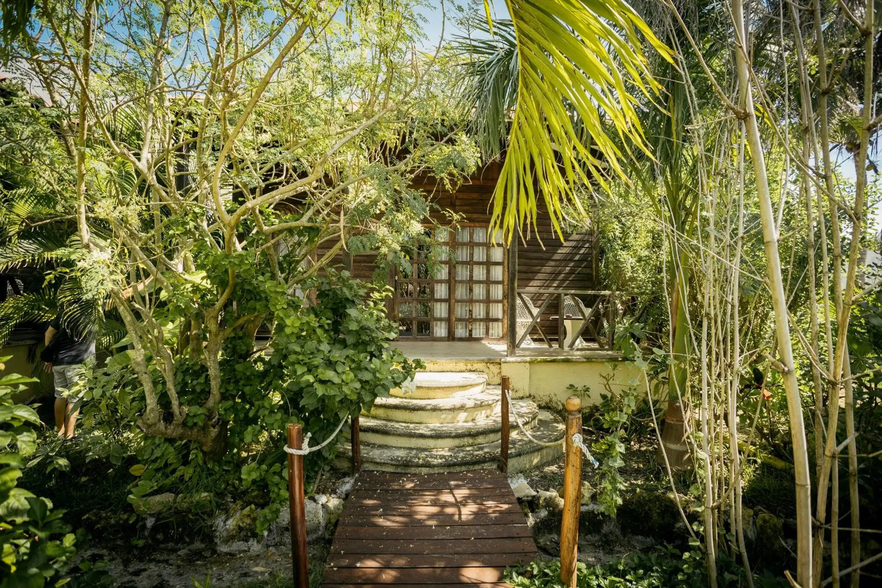 Jungle Experience Bungalow - 2 Double Beds in Petit Lafitte Beach Front Hotel & Bungalows Jungle Experience Bungalow - 2 Double Beds in Petit Lafitte Beach Front Hotel & Bungalows