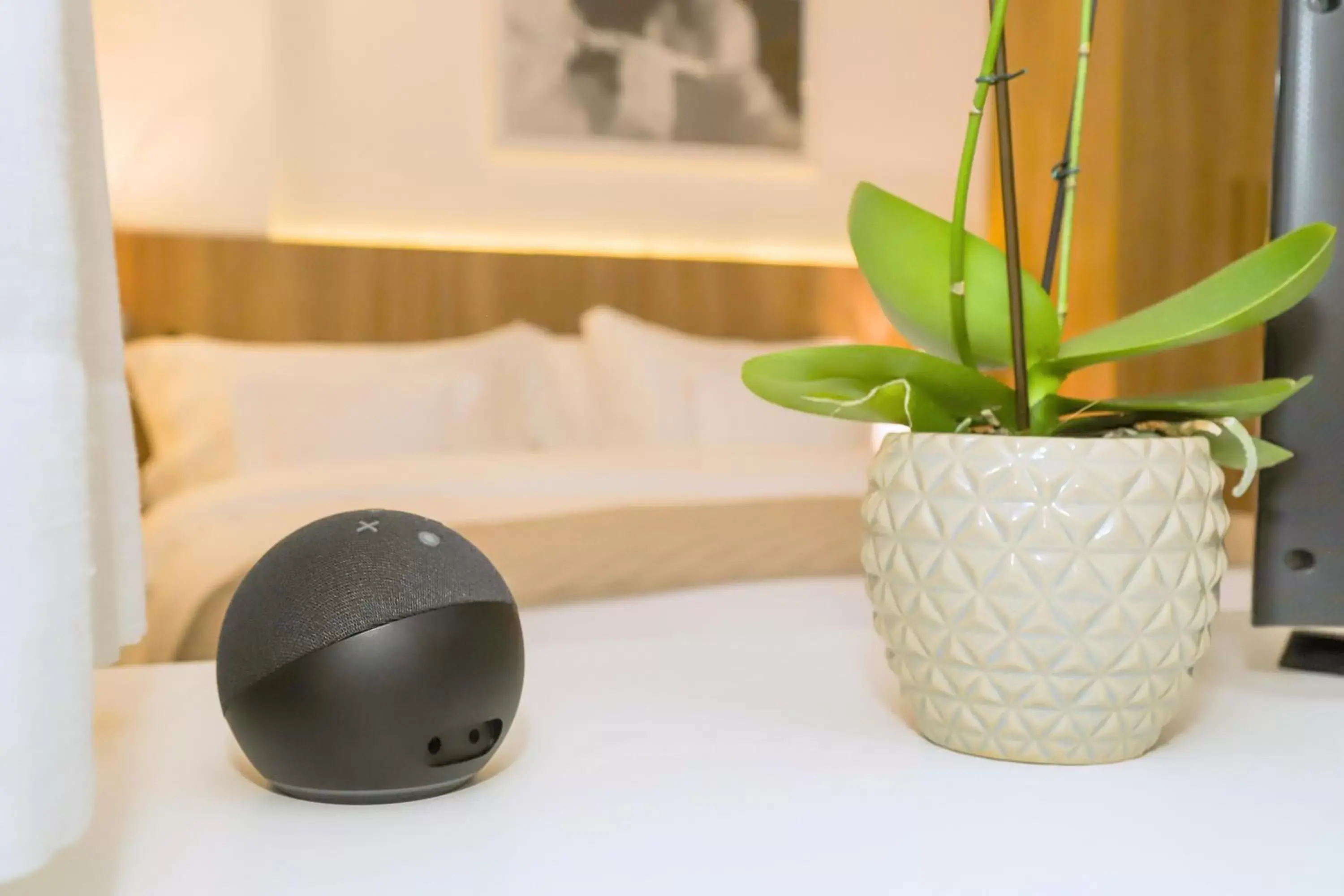 Master Suite in Promenade Soho Campos dos Goytacazes Master Suite in Promenade Soho Campos dos Goytacazes