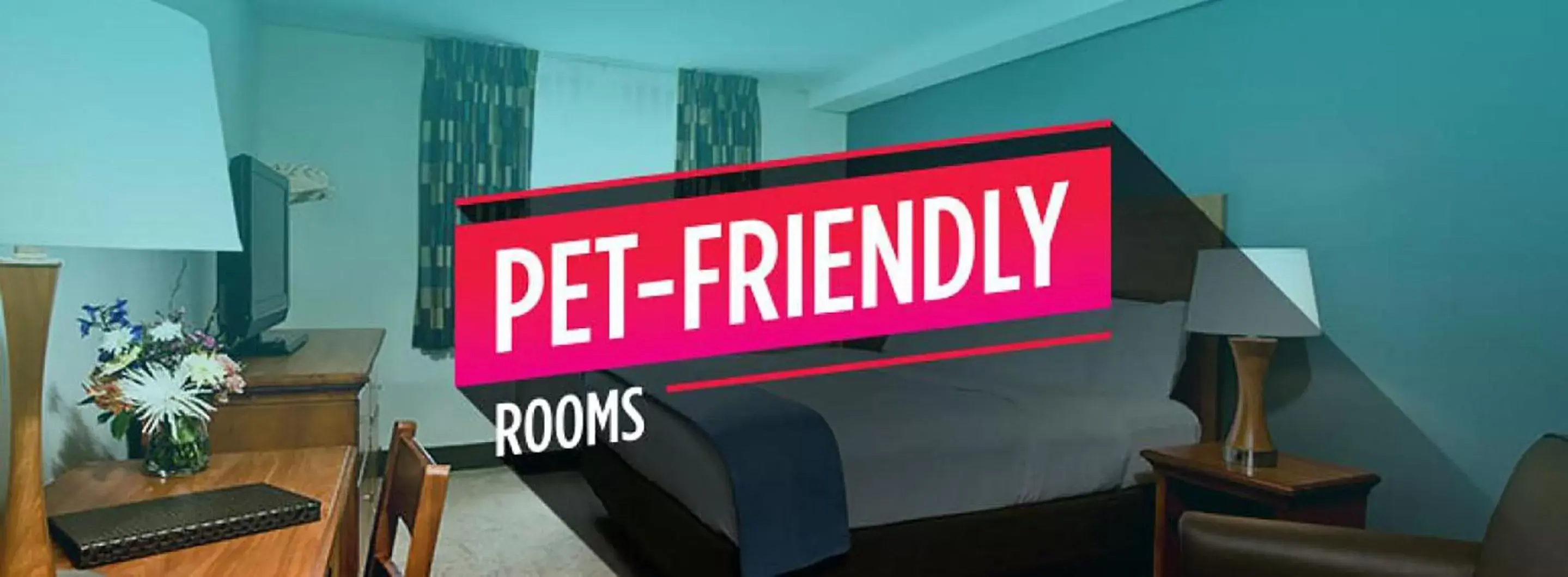 Standard King Room in Isle of Capri Casino Hotel Lula Standard King Room in Isle of Capri Casino Hotel Lula