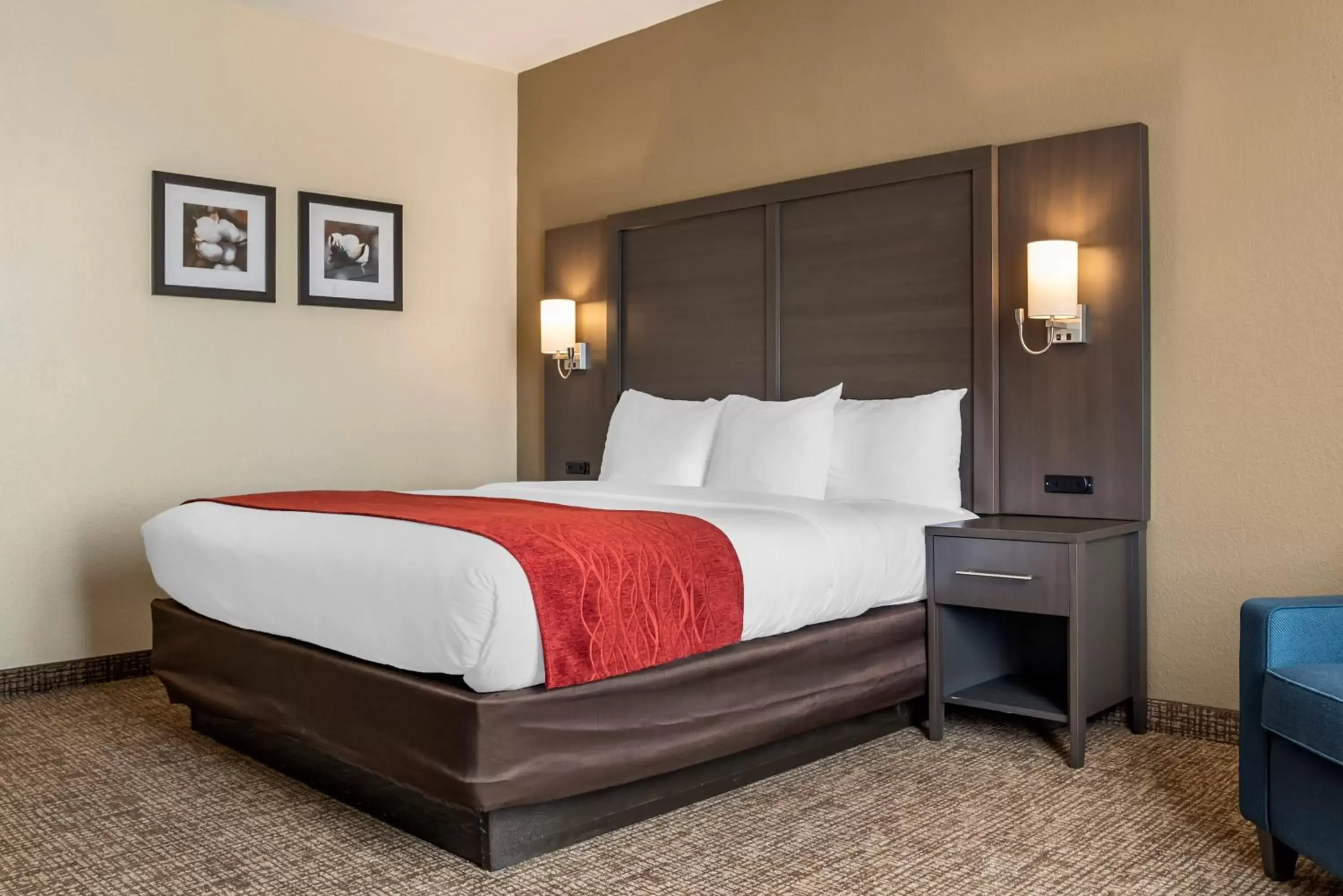King Suite with Mobility Accessible - Accessible/Non-Smoking in Comfort Inn & Suites Millbrook-Prattville King Suite with Mobility Accessible - Accessible/Non-Smoking in Comfort Inn & Suites Millbrook-Prattville