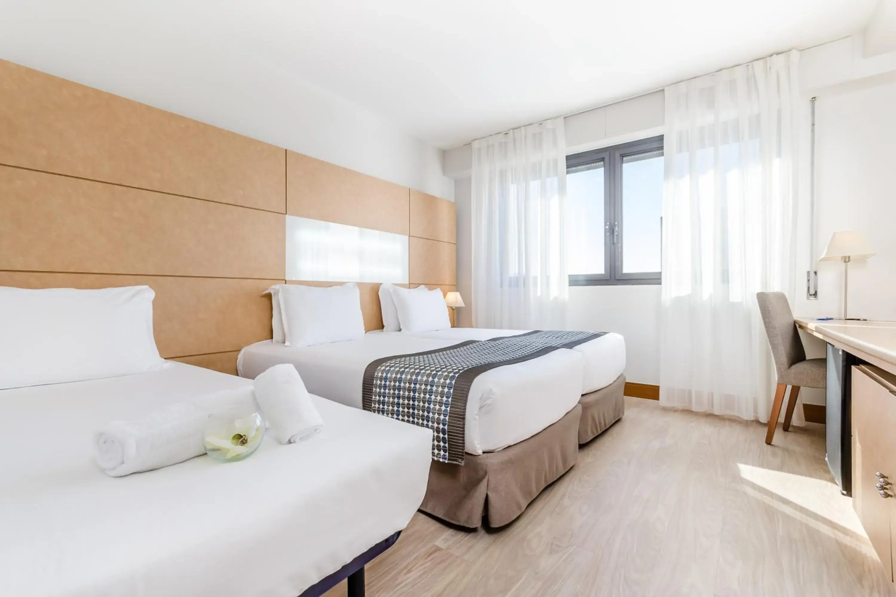 Triple Room in Exe Campus Triple Room in Exe Campus