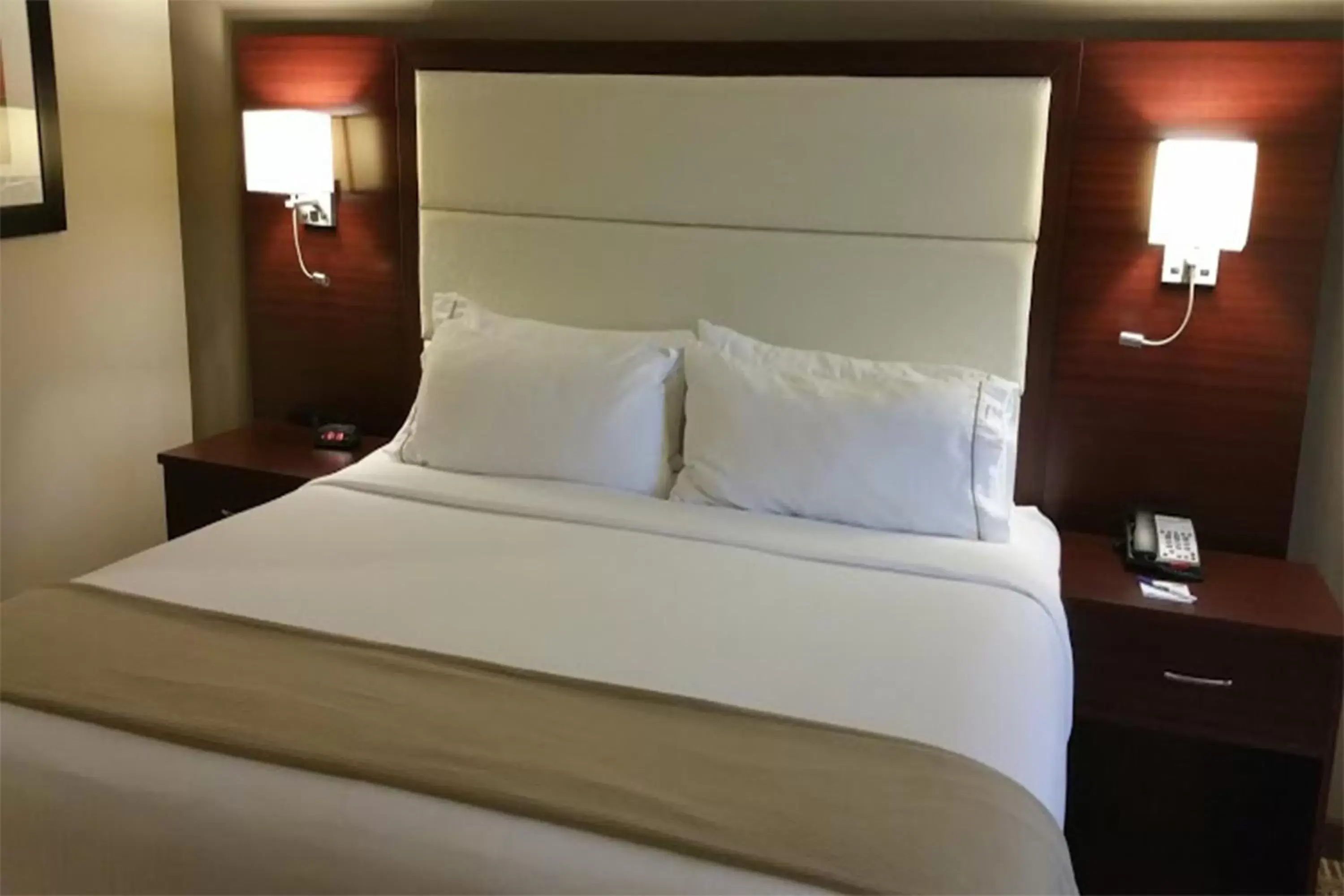 Standard King Room in Holiday Inn Express & Suites Lantana by IHG Standard King Room in Holiday Inn Express & Suites Lantana by IHG