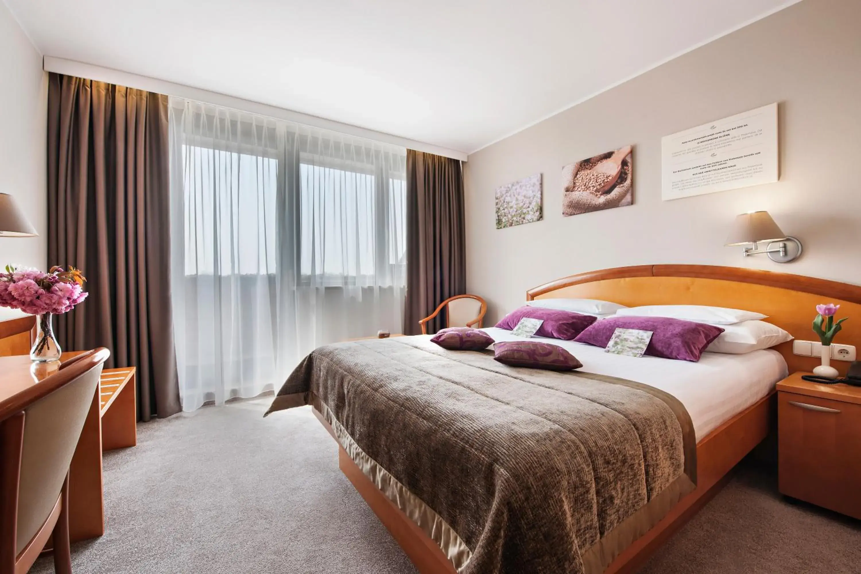 Economy Single Room - single occupancy in Hotel Ajda - Terme 3000 - Sava Hotels & Resorts Economy Single Room - single occupancy in Hotel Ajda - Terme 3000 - Sava Hotels & Resorts