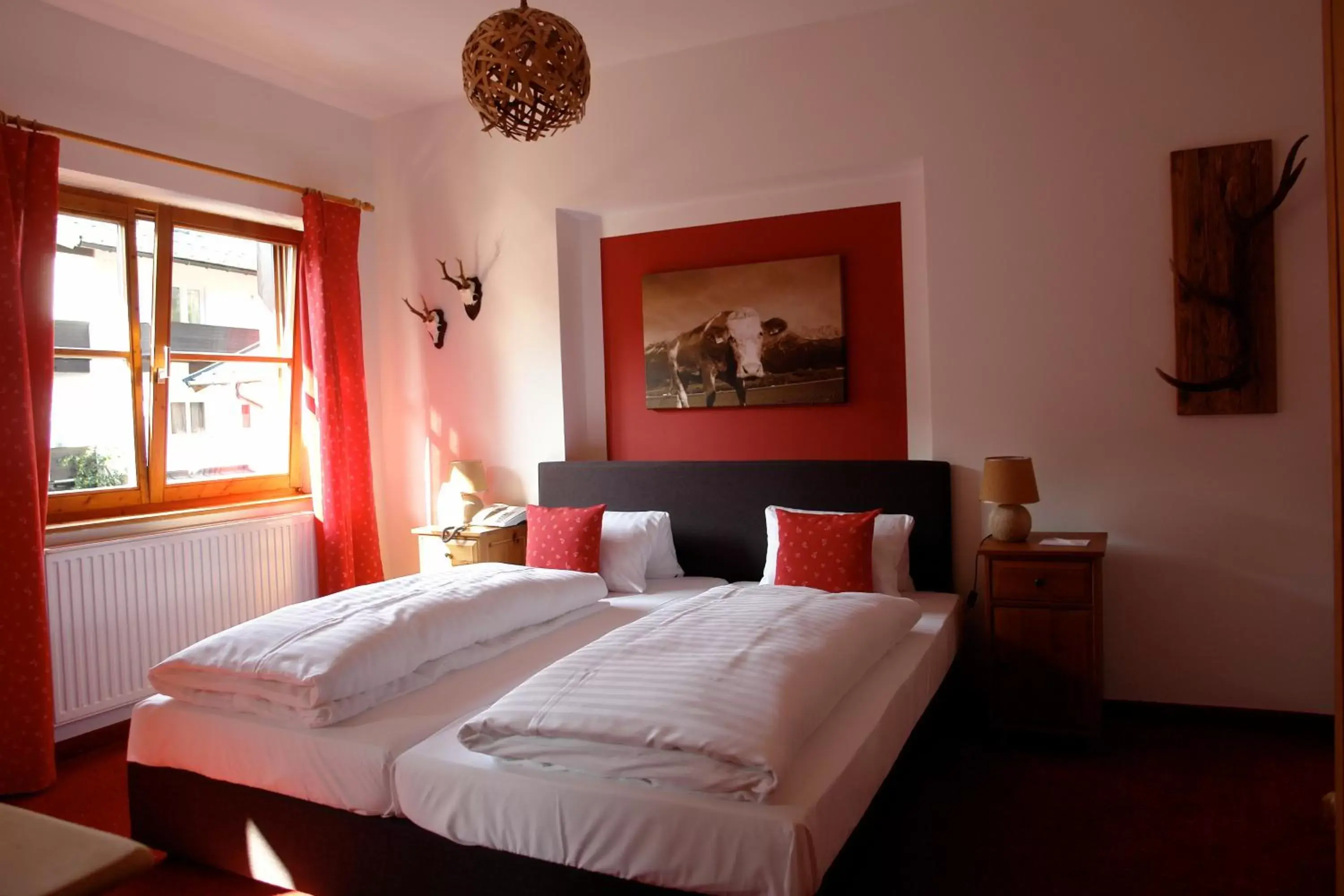 Double Room - single occupancy in Hotel Gamshof Double Room - single occupancy in Hotel Gamshof