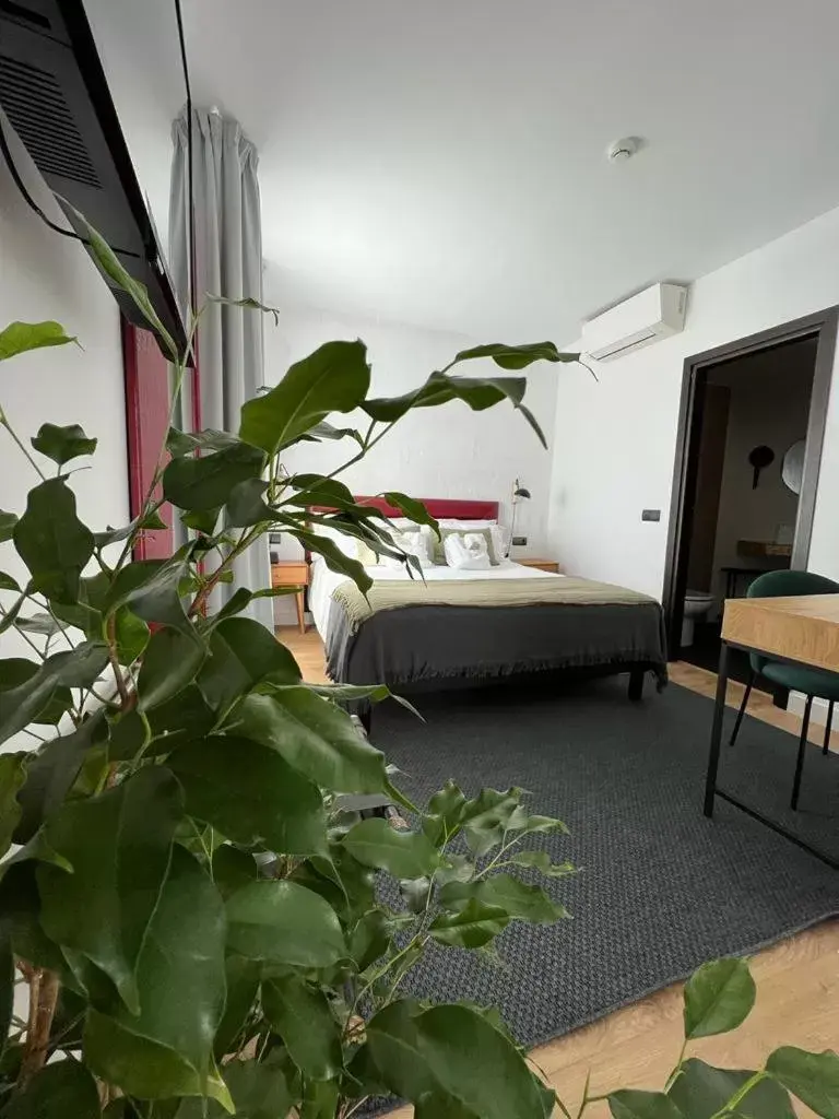 Hotel San Miguel Menorca Hotel San Miguel Menorca