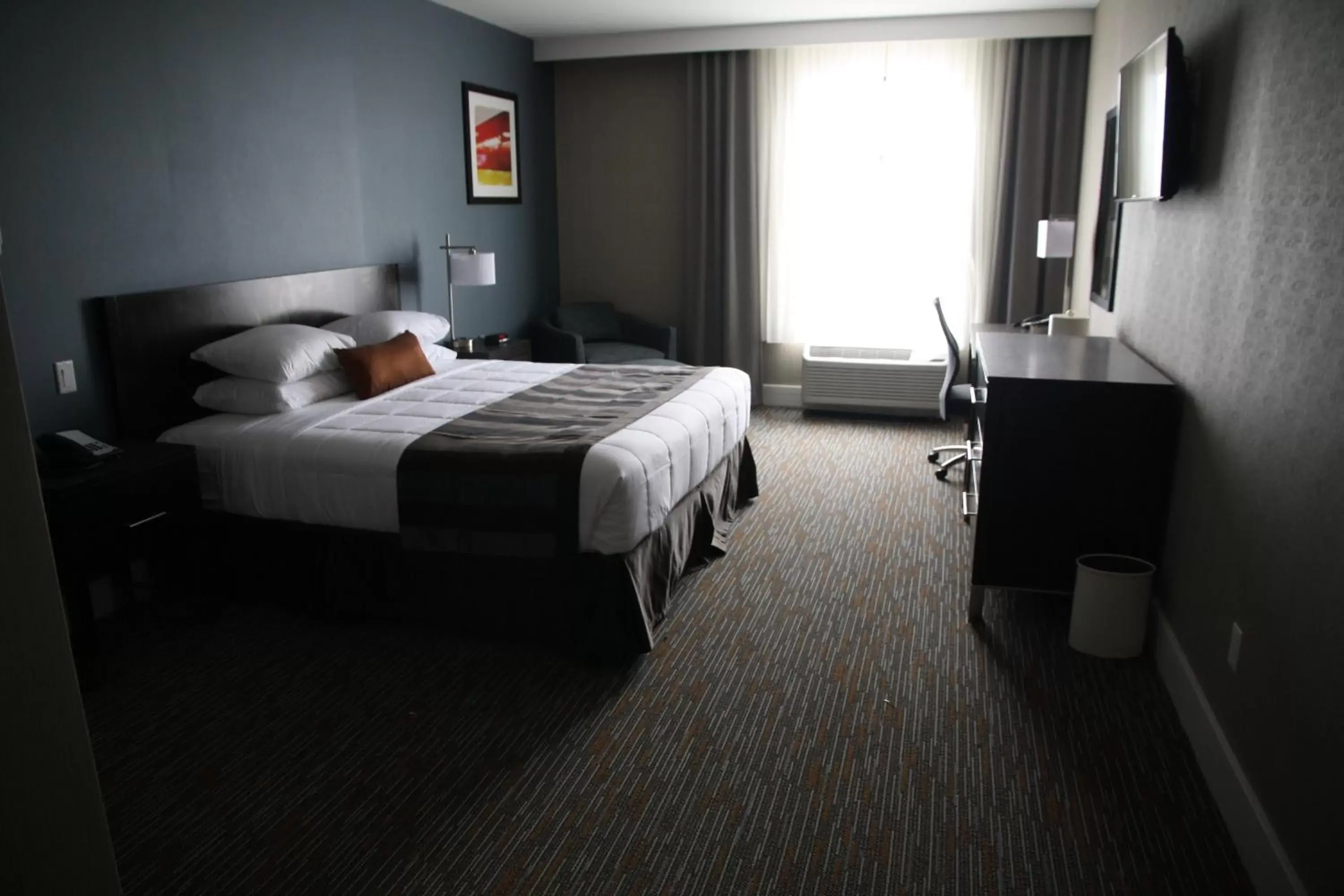 King Room with Roll-In Shower - Mobility/Hearing Accessible - Non-Smoking in Wingate by Wyndham Niagara Falls King Room with Roll-In Shower - Mobility/Hearing Accessible - Non-Smoking in Wingate by Wyndham Niagara Falls