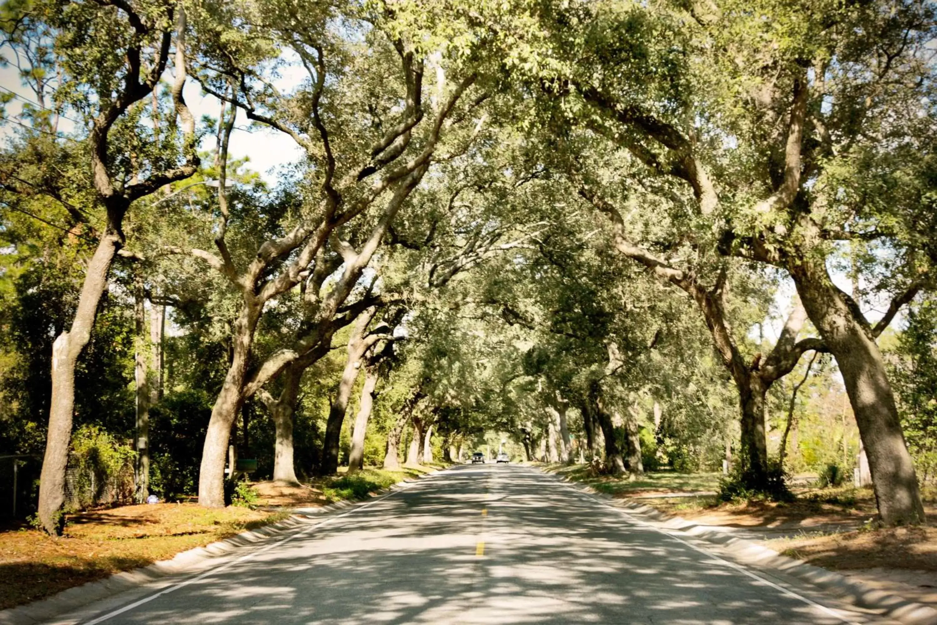 Hampton Inn Pensacola-Airport Hampton Inn Pensacola-Airport