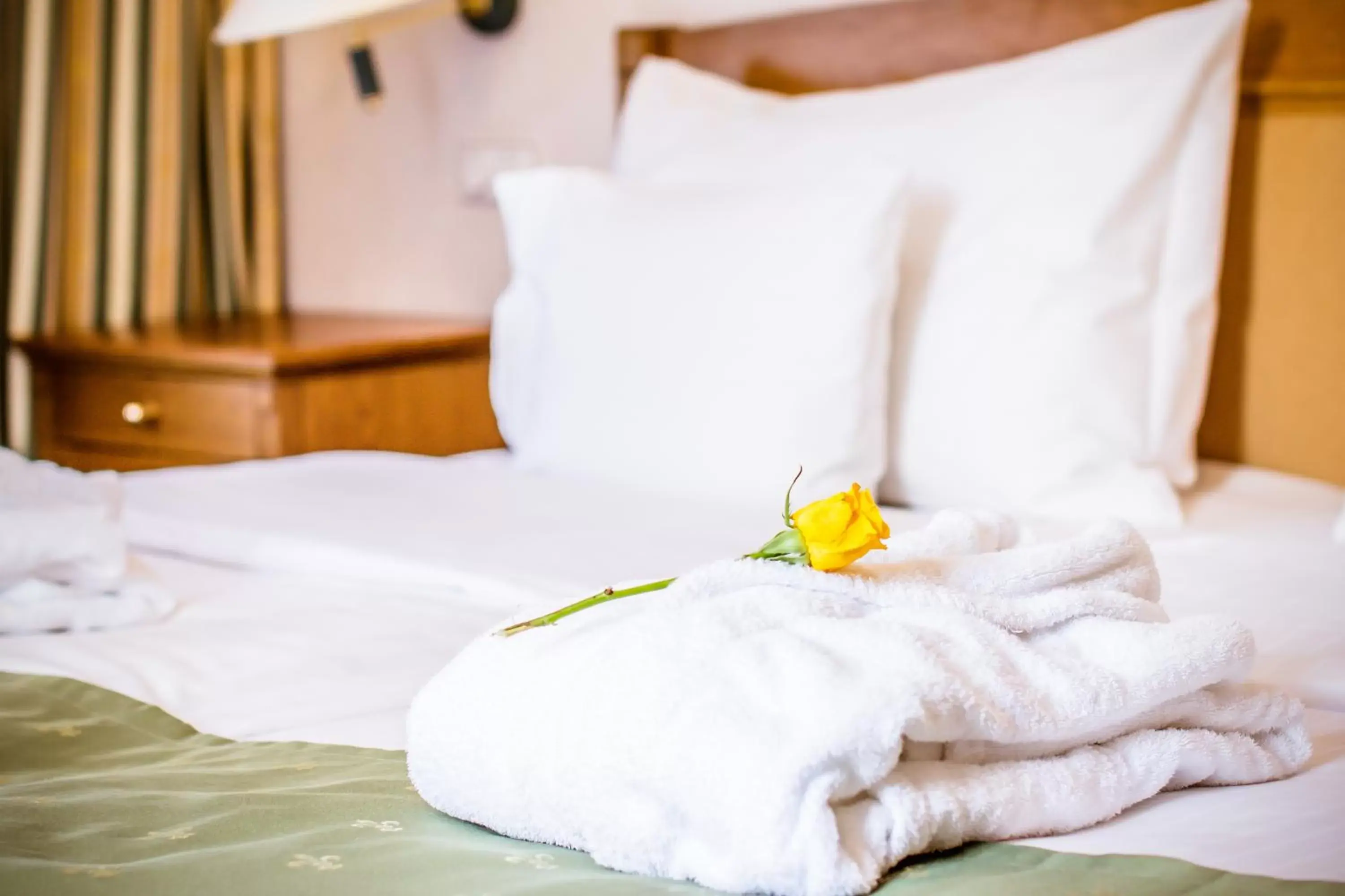 Double Room with Castle View in Hotel Dvorak Cesky Krumlov Double Room with Castle View in Hotel Dvorak Cesky Krumlov