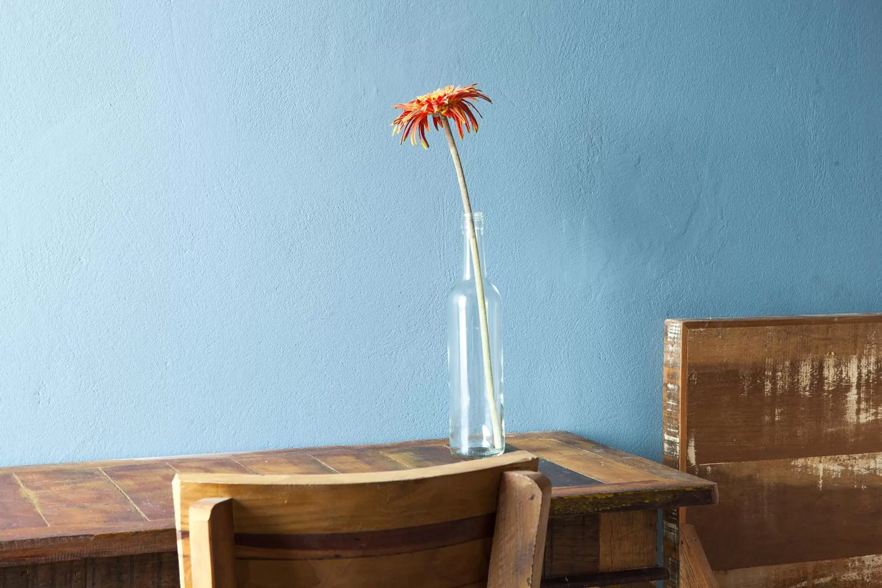 Superior Suite in Pousada Moquirido Superior Suite in Pousada Moquirido