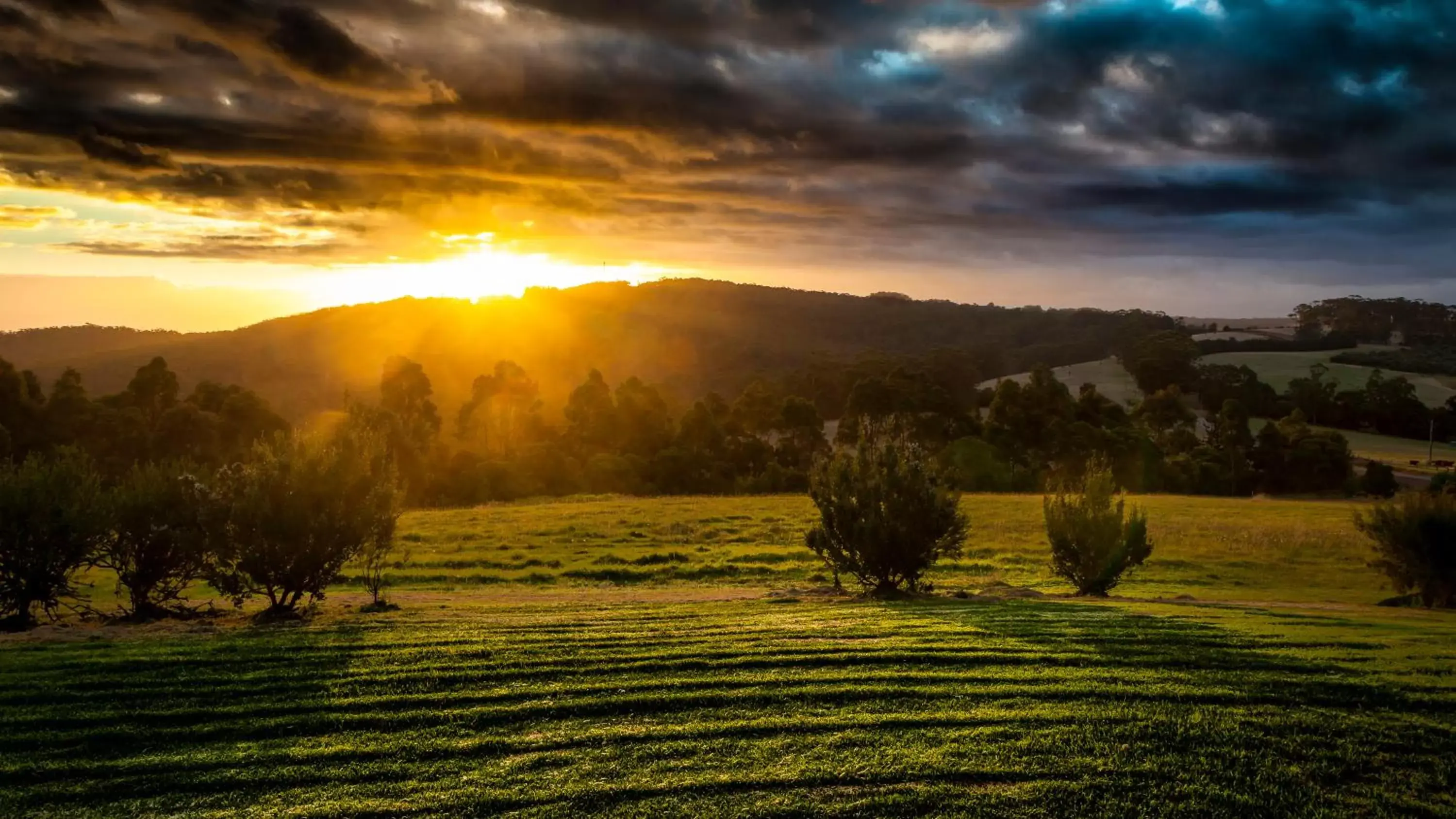 Karri Aura Karri Aura