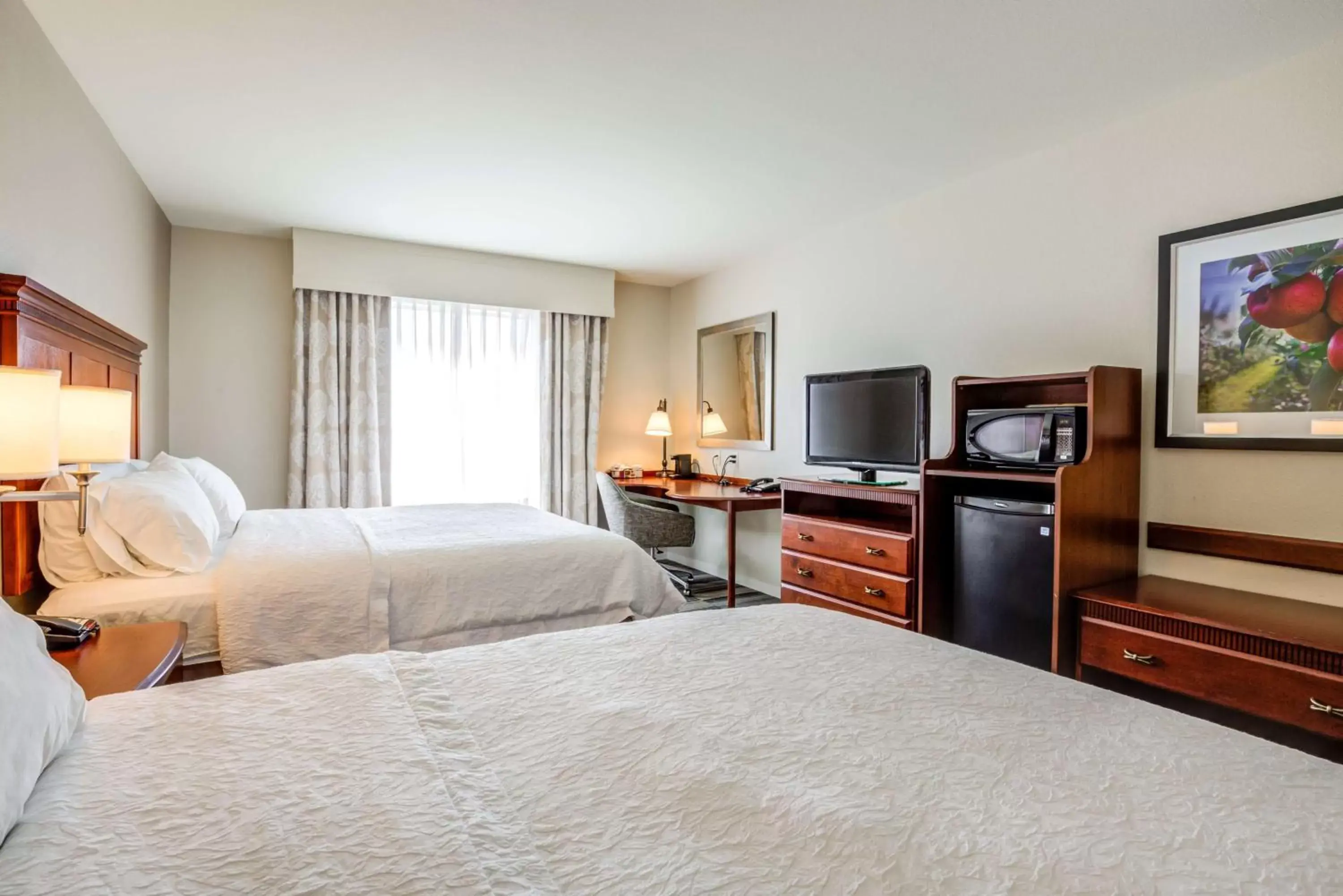 Queen Room with Two Queen Beds - Mobility and Hearing Access/Non-Smoking in Hampton Inn & Suites Westford-Chelmsford Queen Room with Two Queen Beds - Mobility and Hearing Access/Non-Smoking in Hampton Inn & Suites Westford-Chelmsford