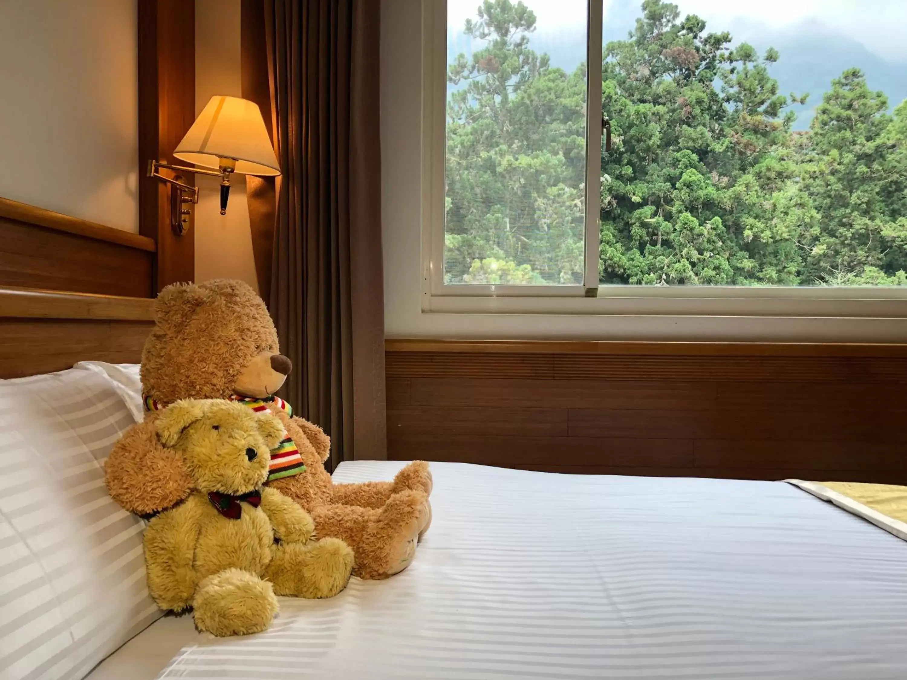 Standard Twin Room in Ginkgo Hotel Standard Twin Room in Ginkgo Hotel