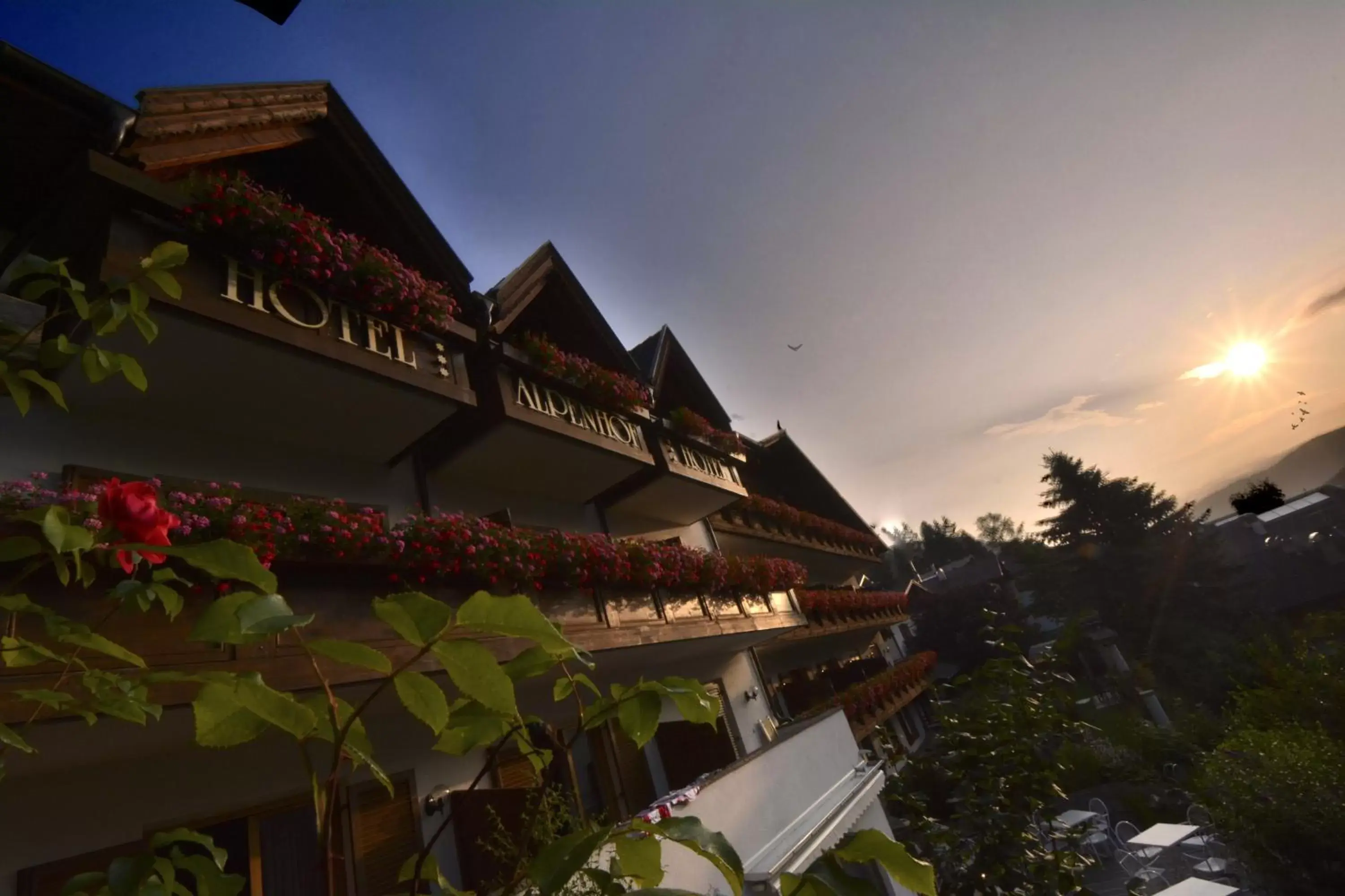 Hotel Alpenhof Hotel Alpenhof