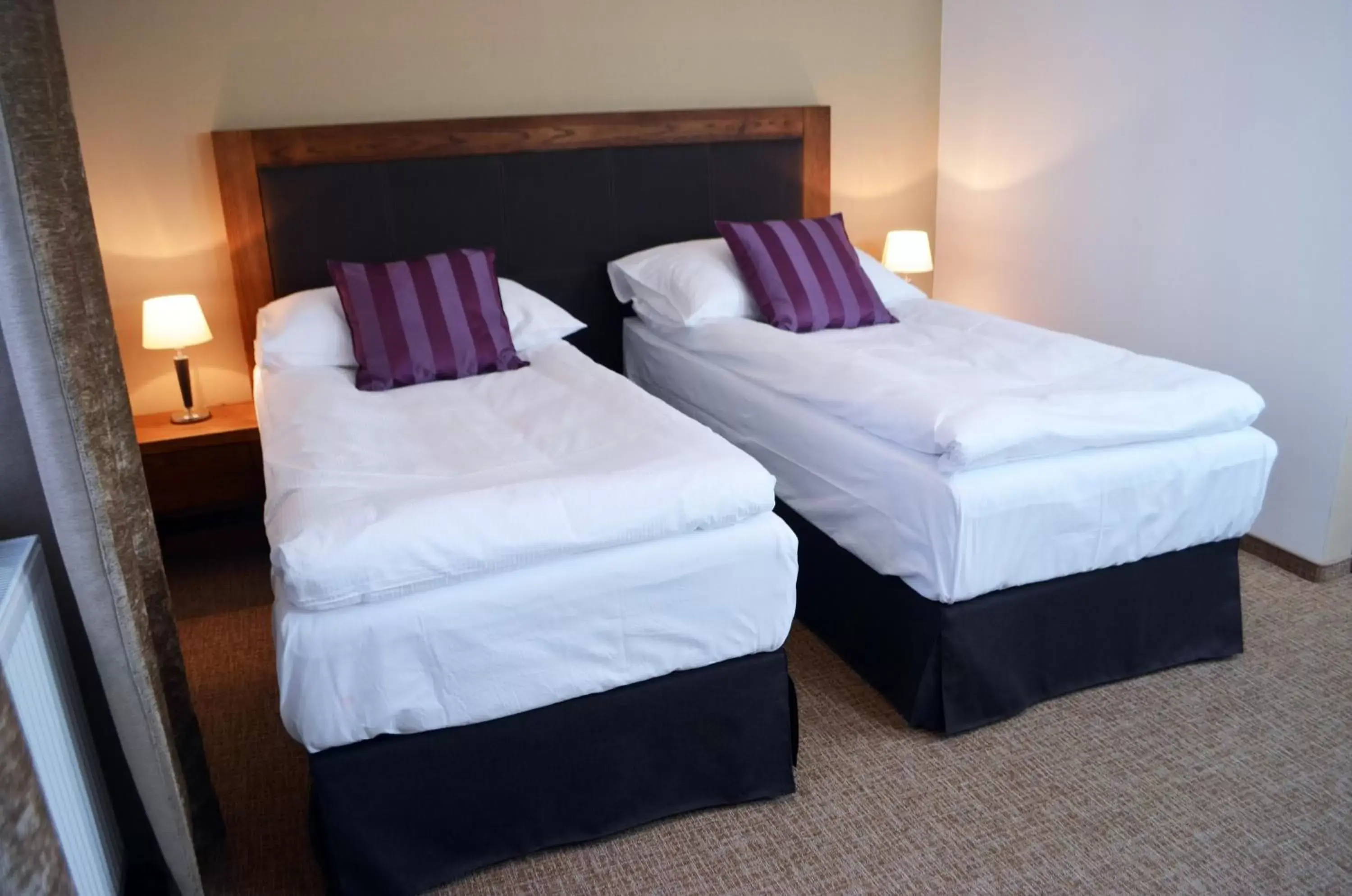 Standard Double or Twin Room - single occupancy in Hotel U Kvapilů Standard Double or Twin Room - single occupancy in Hotel U Kvapilů