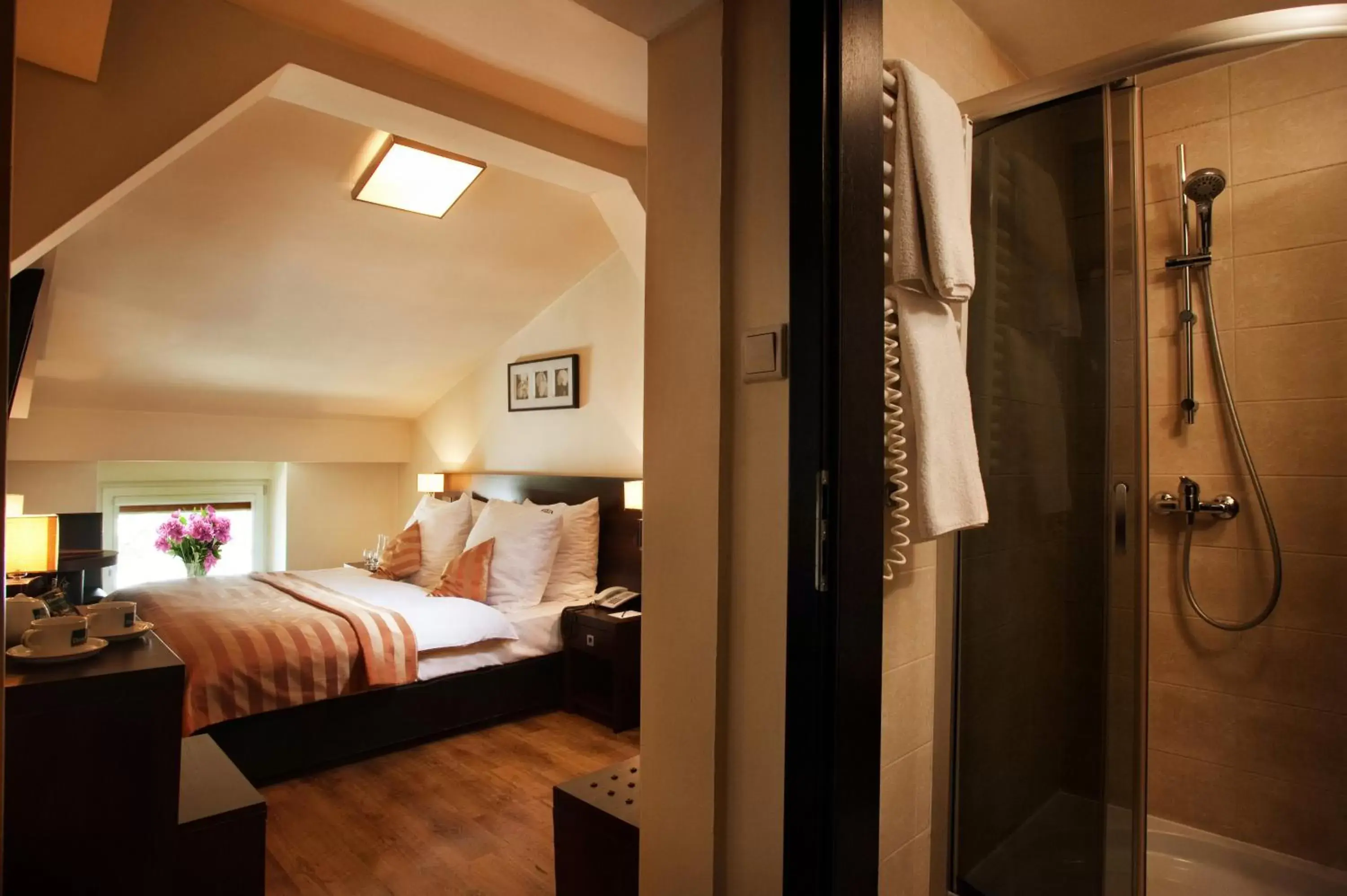 Single Room in Spatz Aparthotel Single Room in Spatz Aparthotel