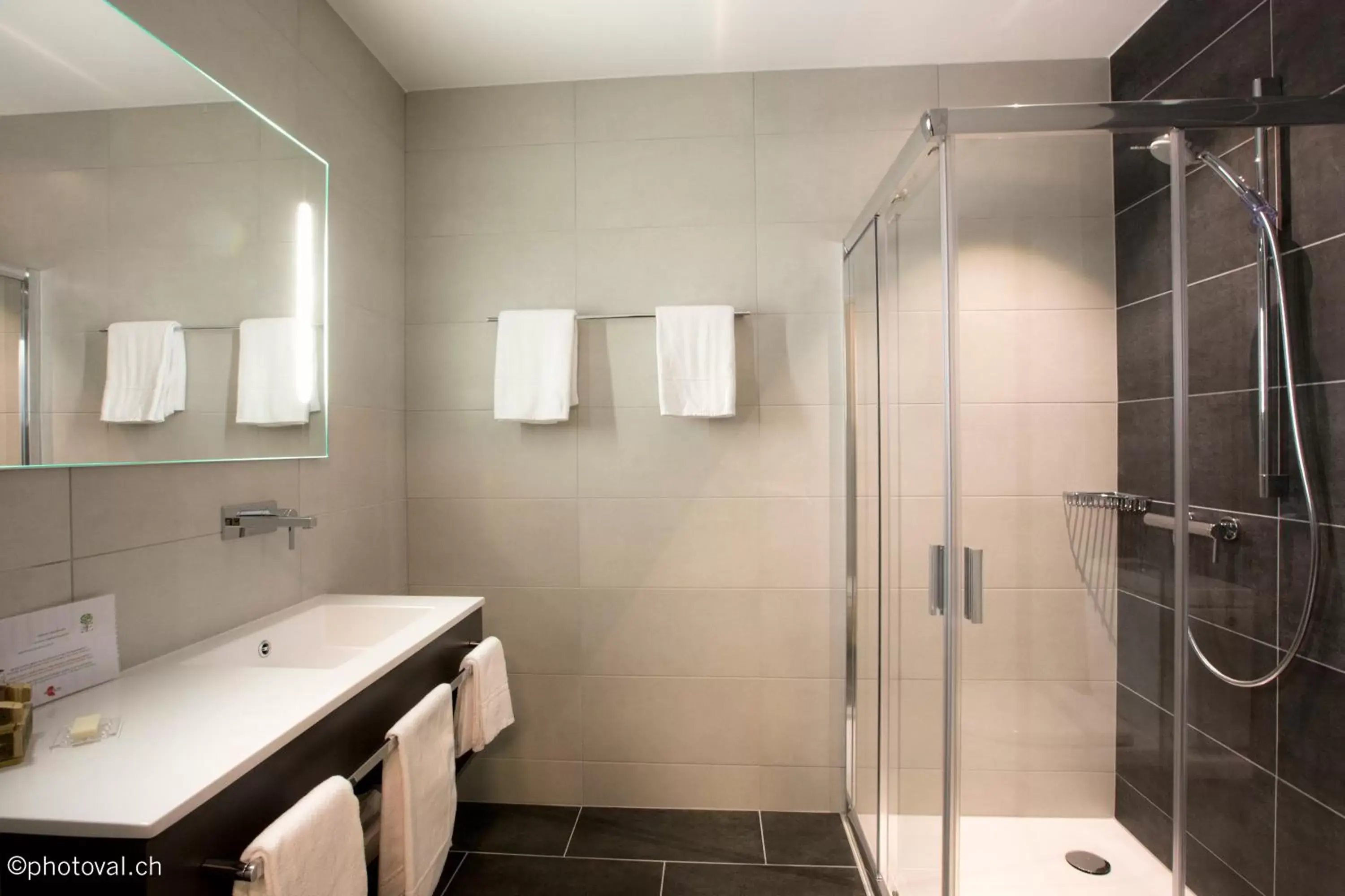 Standard King Room in Martigny Boutique-Hôtel Standard King Room in Martigny Boutique-Hôtel