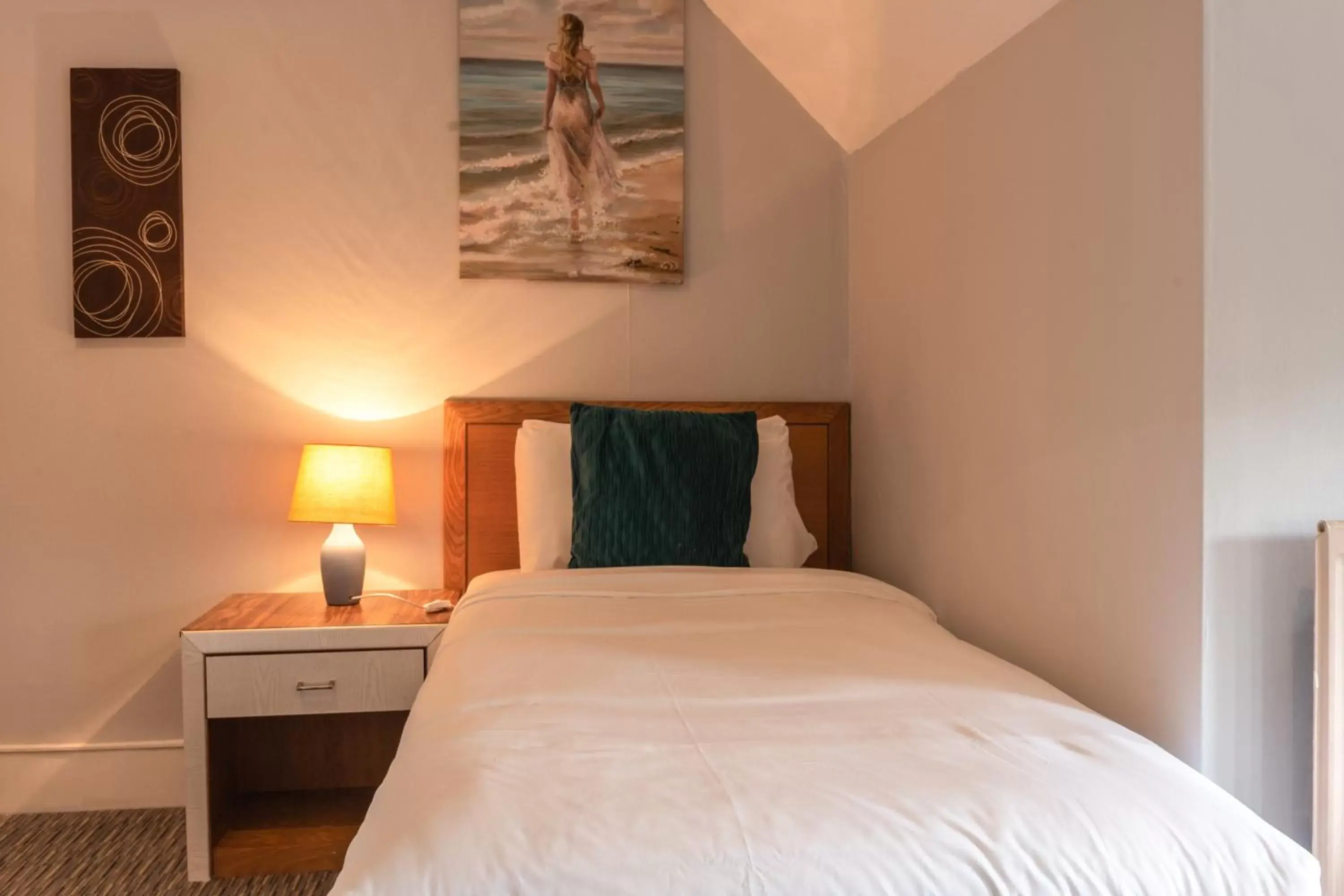 Single Room in Plough Hotel Single Room in Plough Hotel