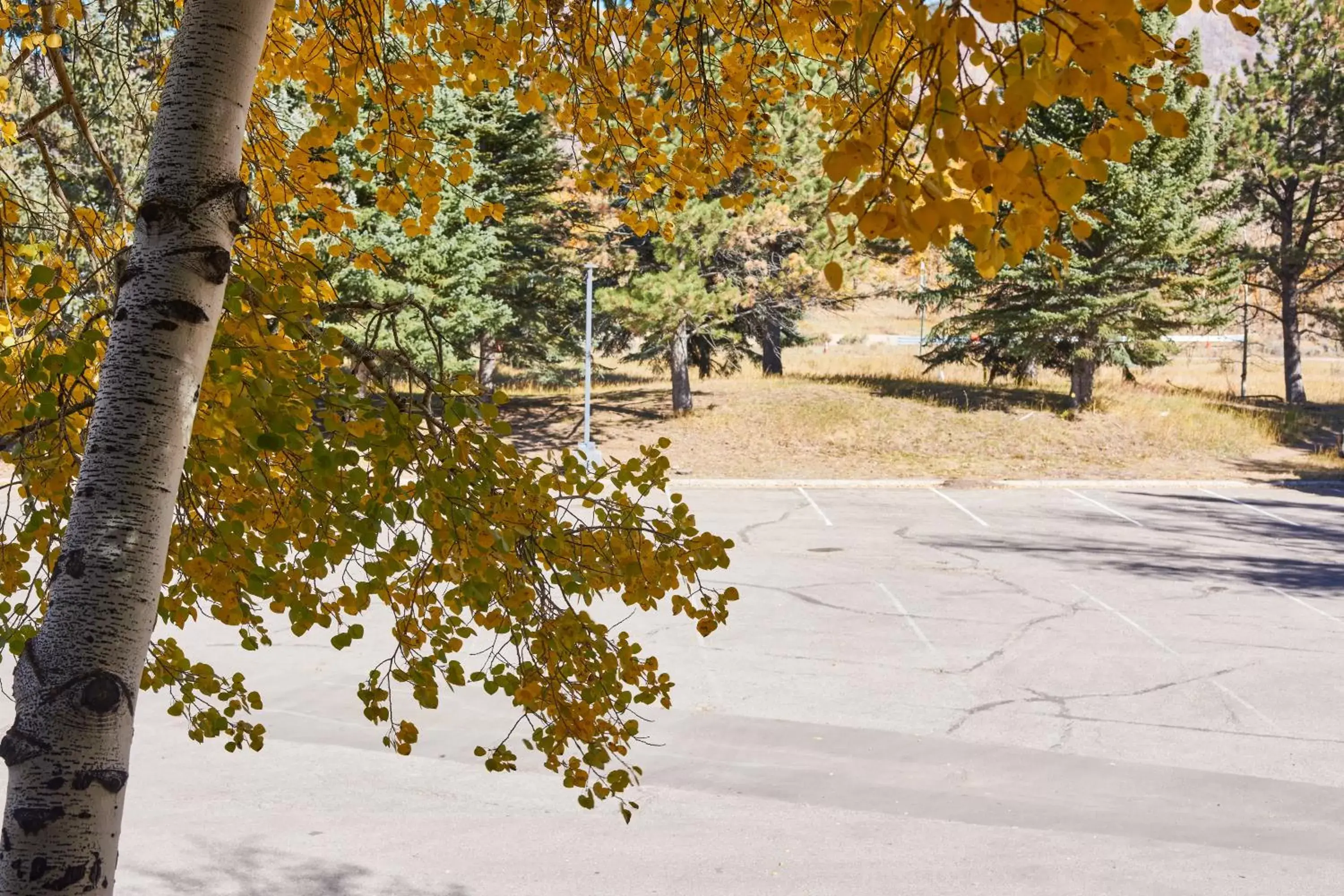 Deluxe Queen Room in The Inn at Aspen Deluxe Queen Room in The Inn at Aspen