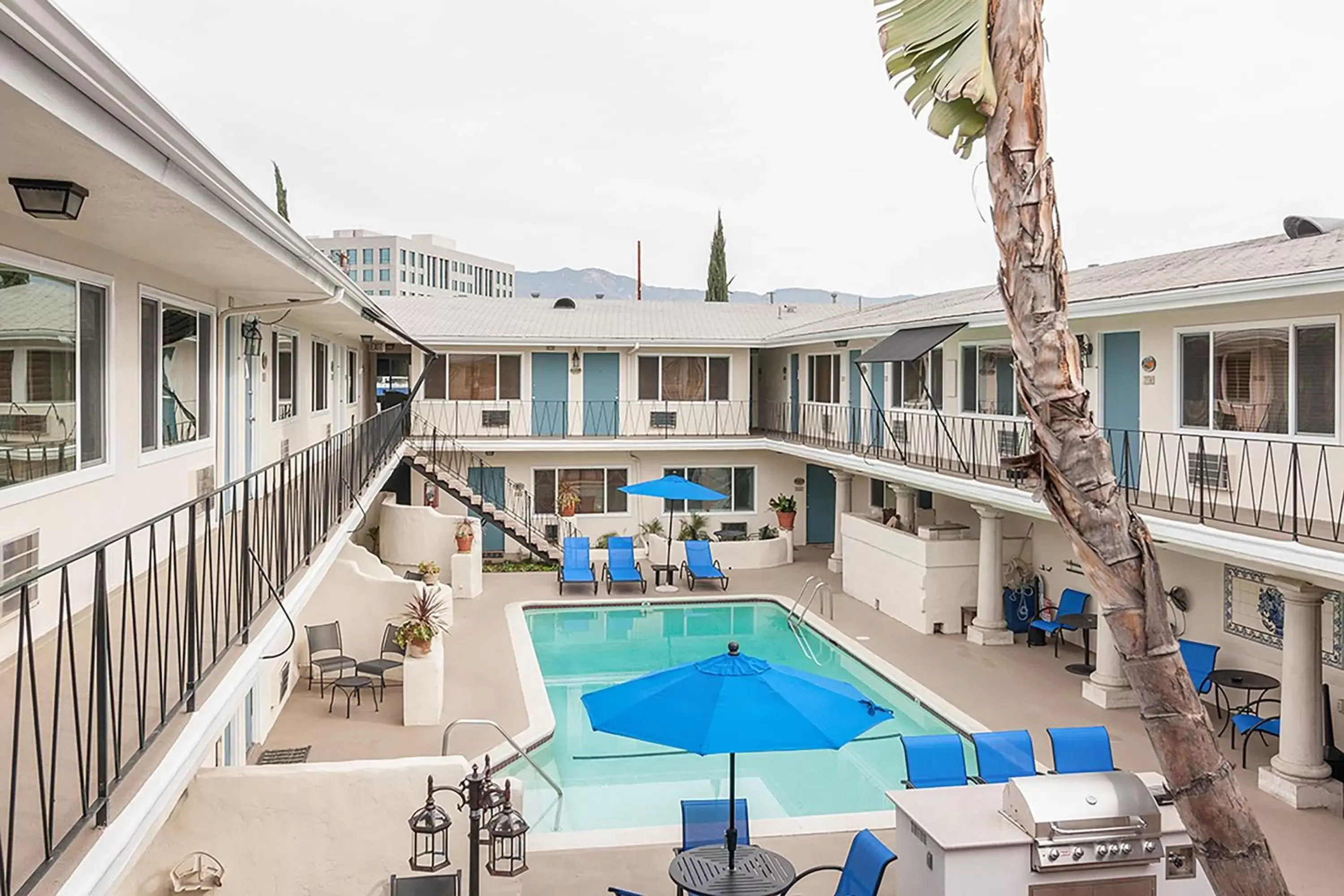 Property building, Pool View in 2021 Olive Property building, Pool View in 2021 Olive