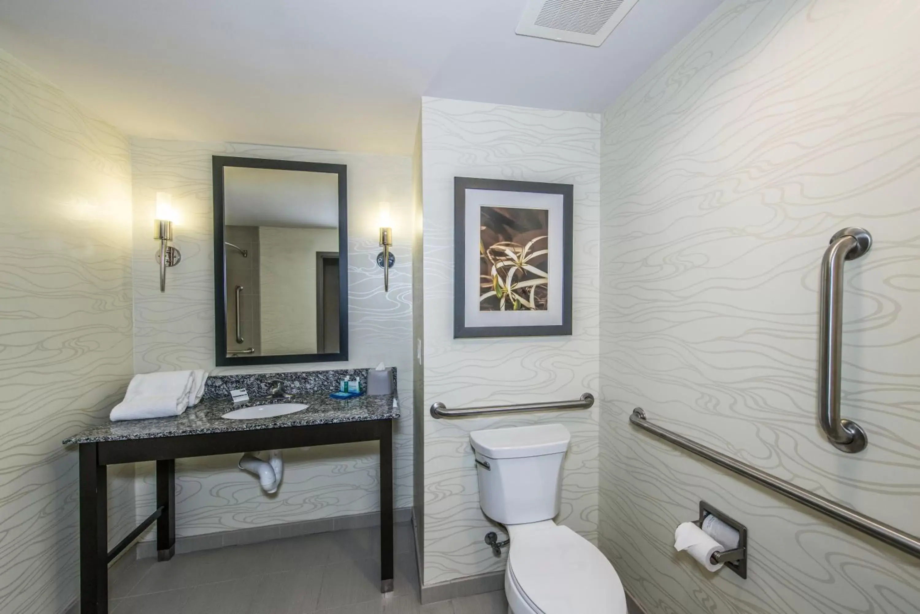 Standard King Room with Roll-In Shower - Communications Access in Holiday Inn Express & Suites Charleston Arpt-Conv Ctr Area by IHG Standard King Room with Roll-In Shower - Communications Access in Holiday Inn Express & Suites Charleston Arpt-Conv Ctr Area by IHG